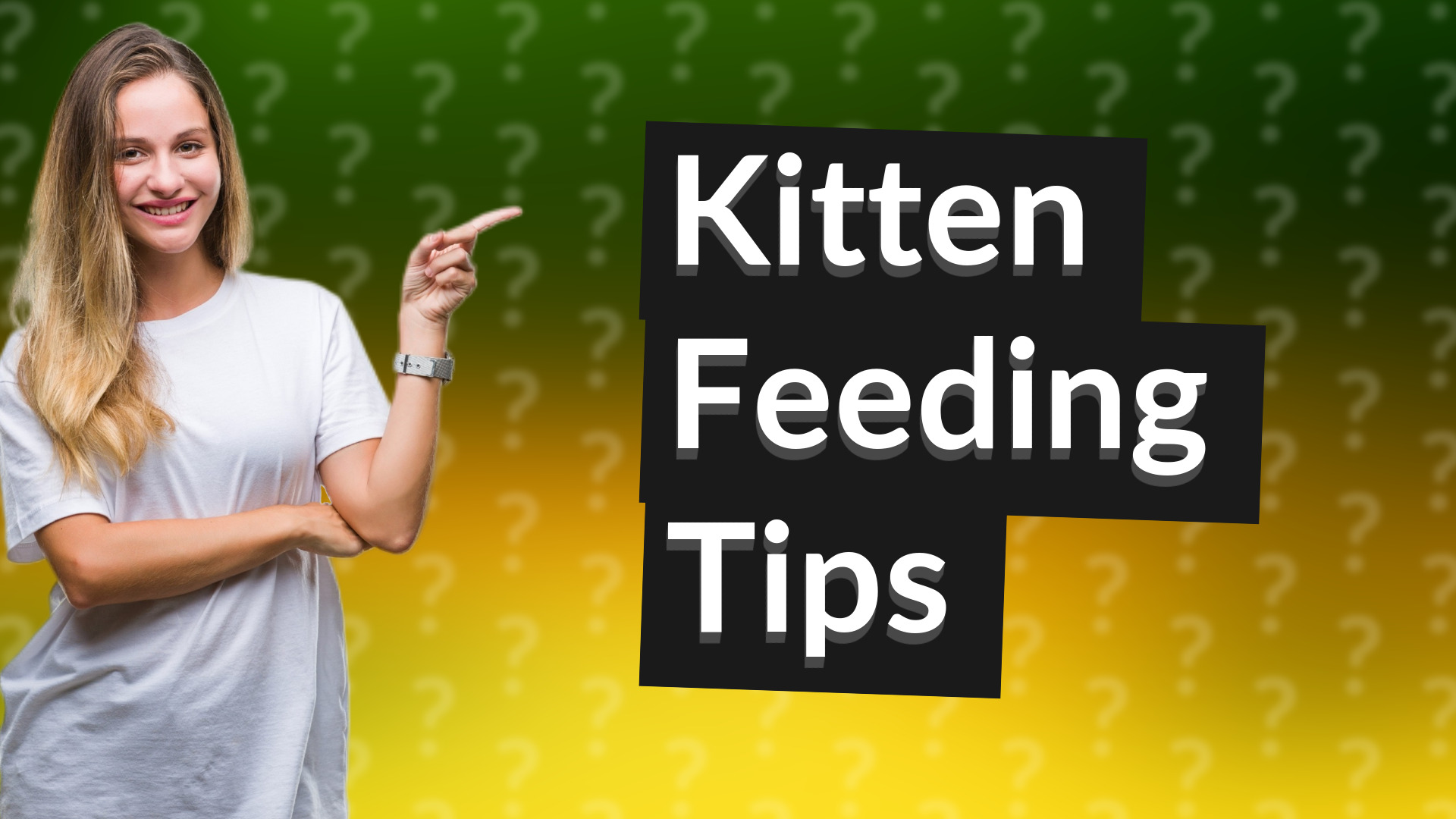 Kitten Feeding Tips
