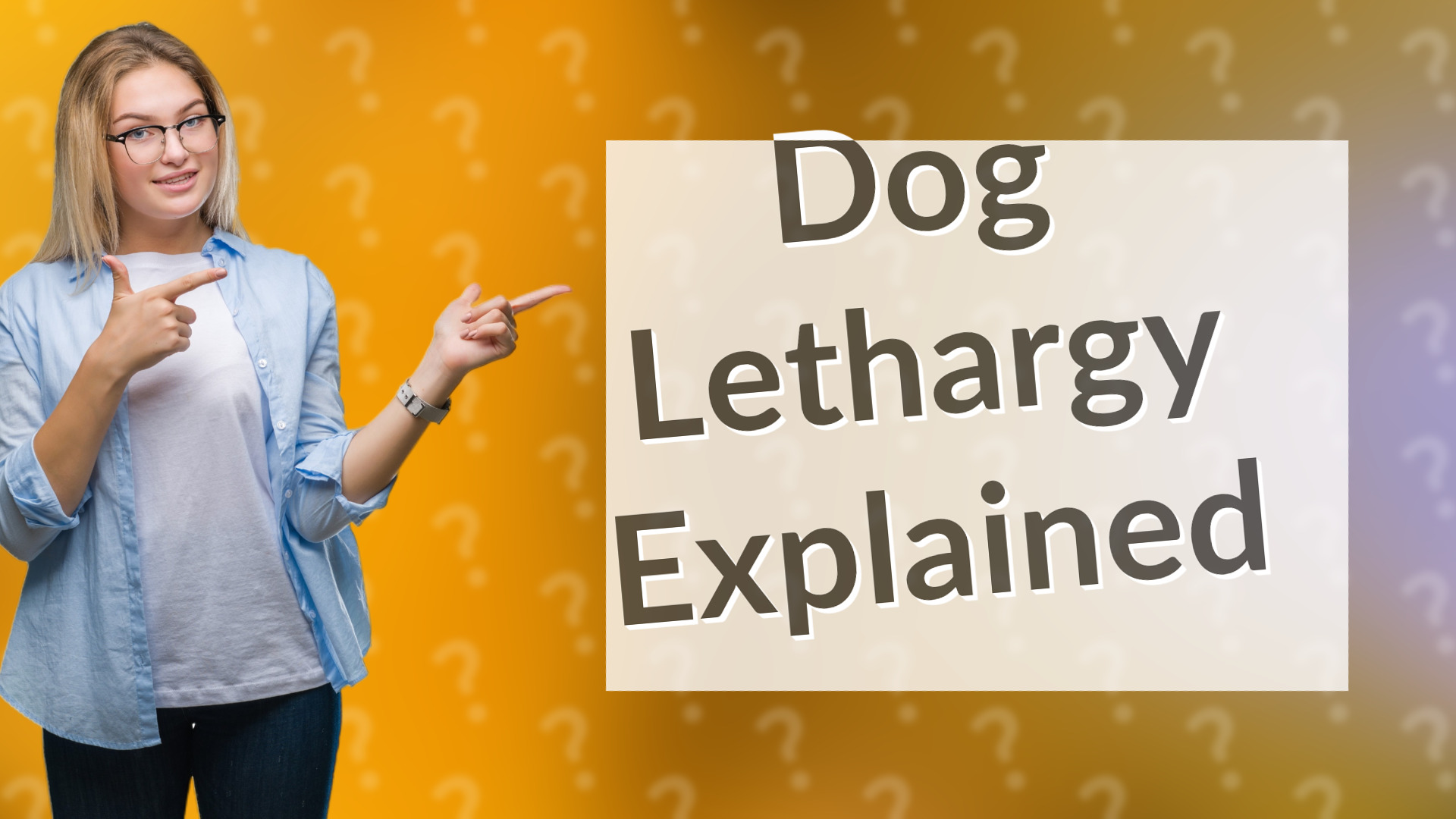 Dog Lethargy Explained