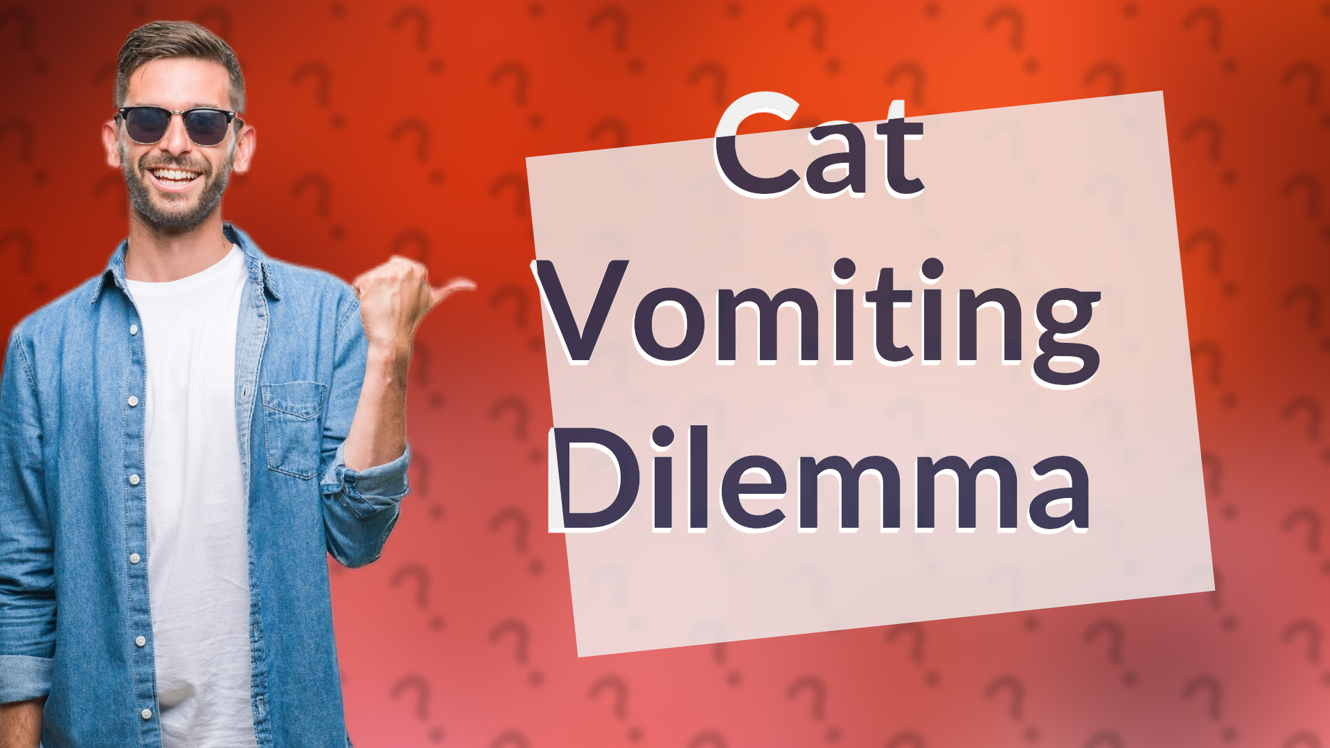 Cat Vomiting Dilemma