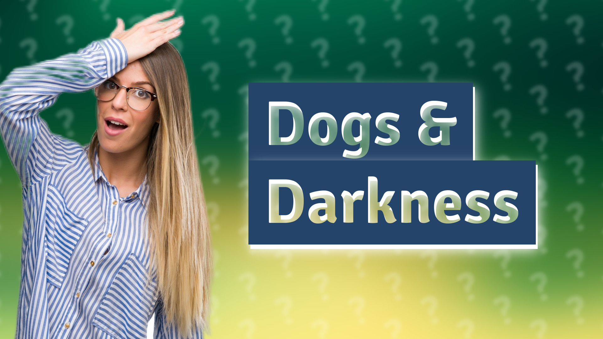 Dogs & Darkness