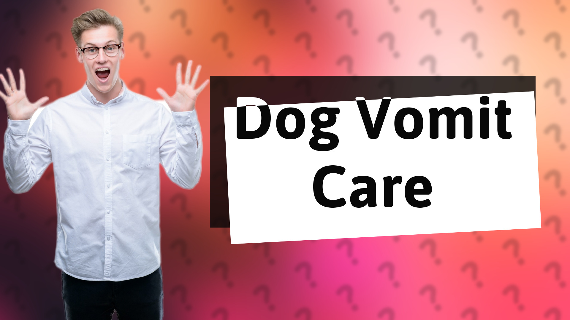 Dog Vomit Care