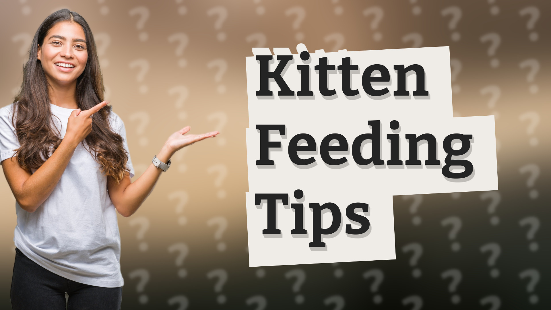 Kitten Feeding Tips