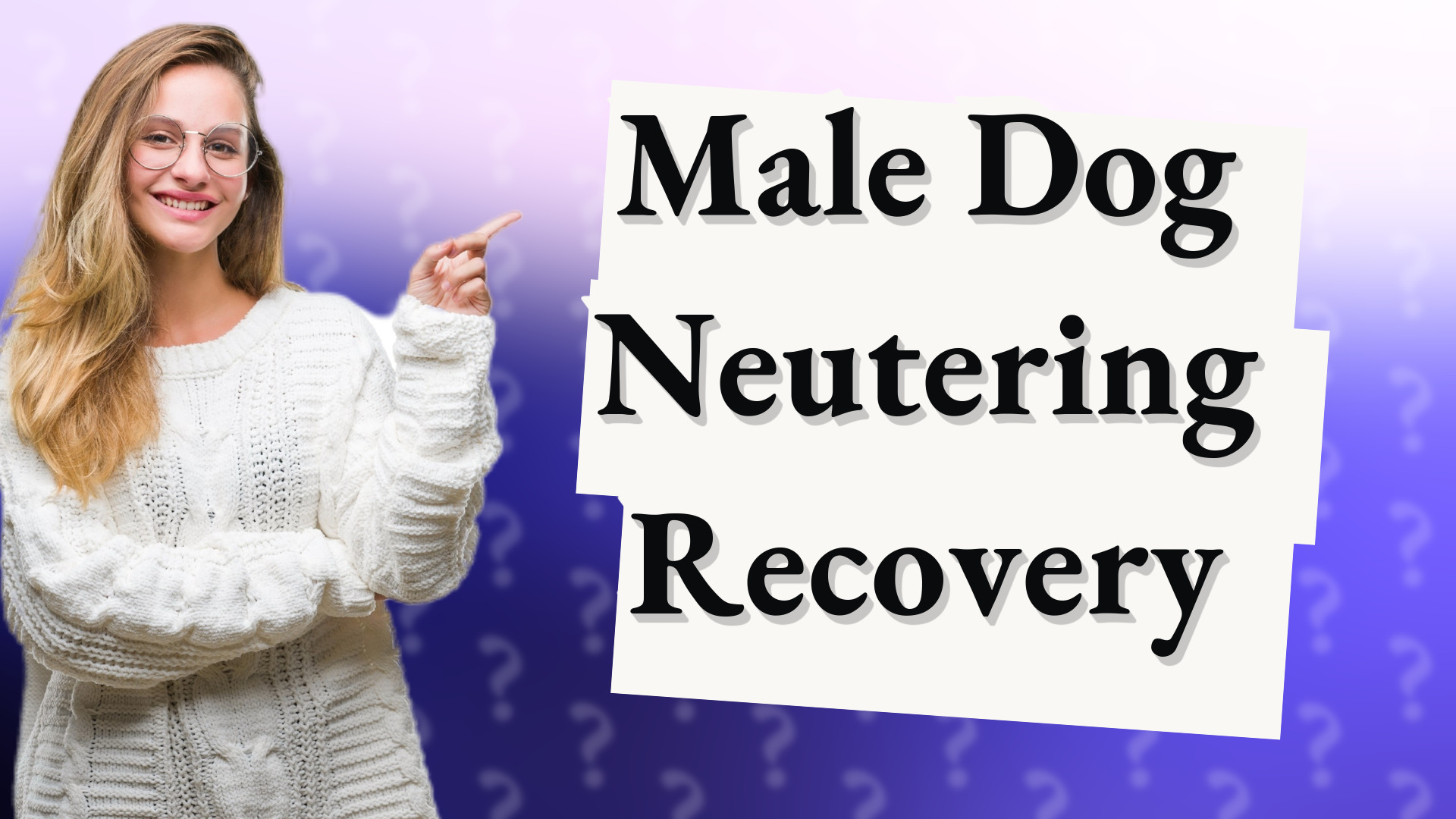 Male Dog Neutering Recovery