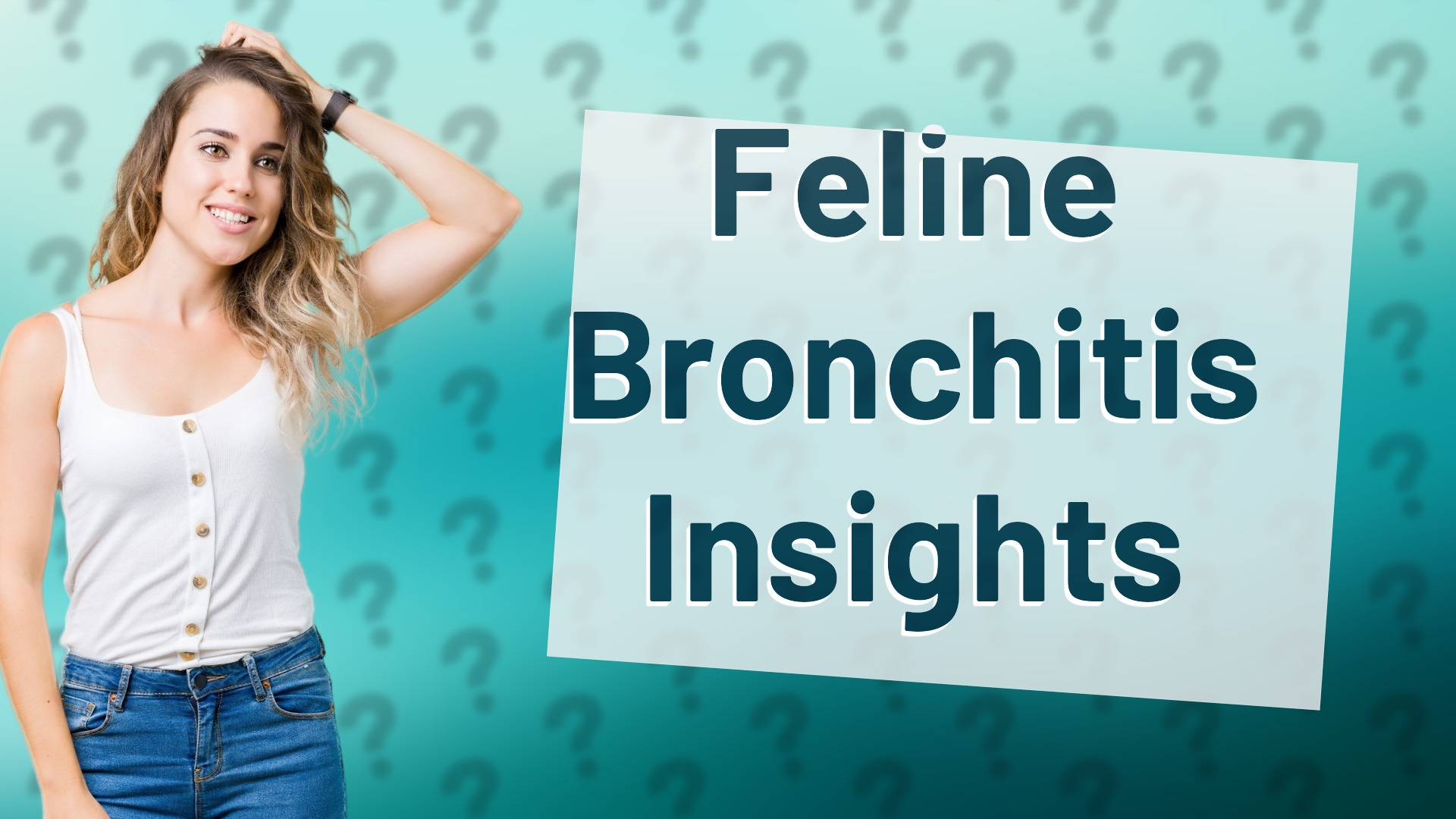Feline Bronchitis Insights