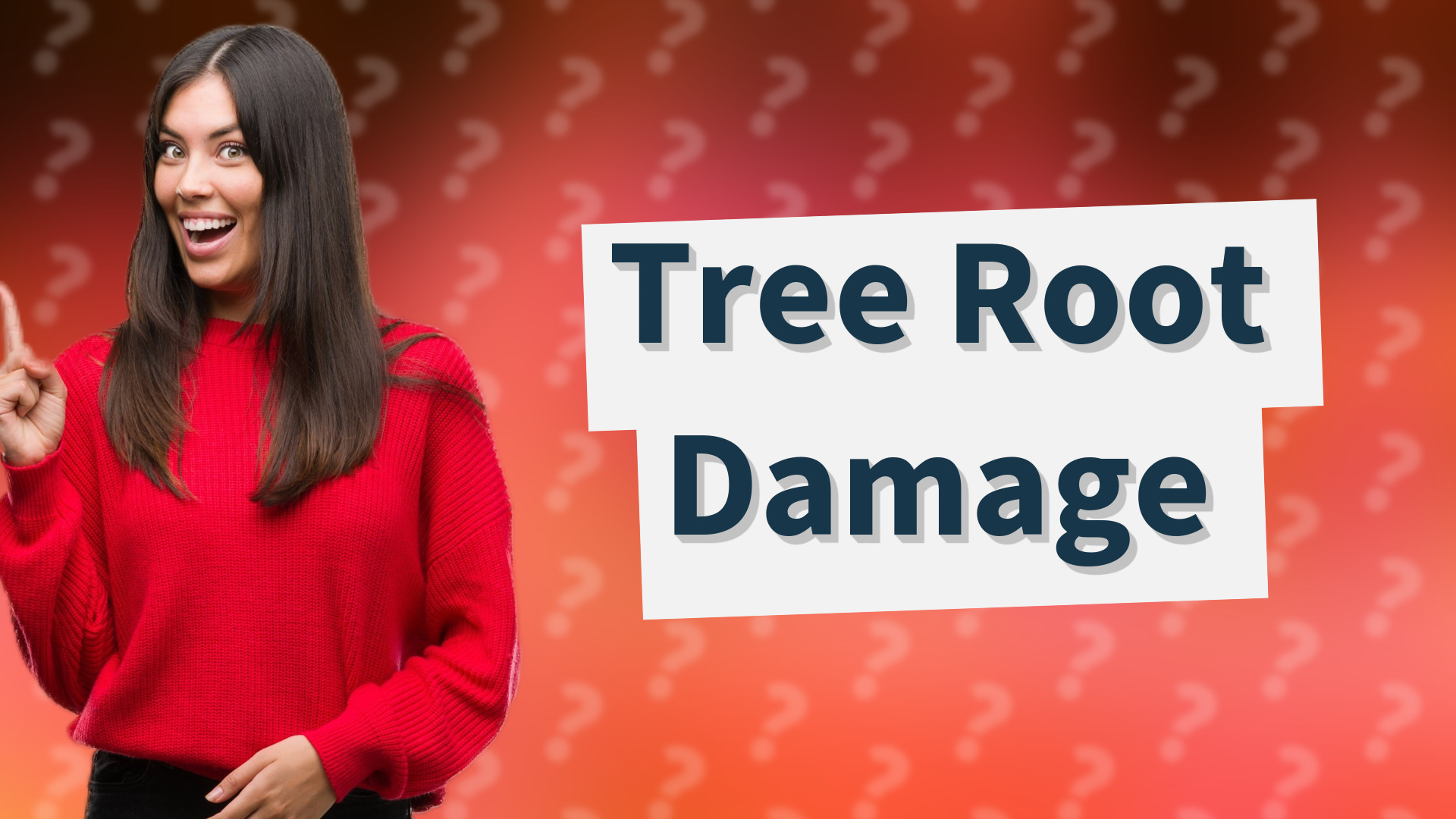 Tree Root Damage