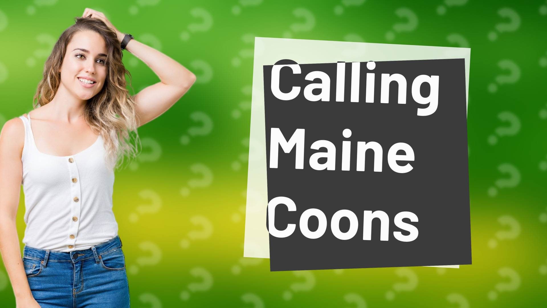 Calling Maine Coons