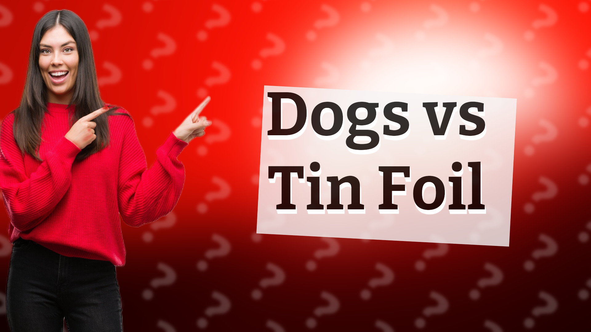 Dogs vs Tin Foil