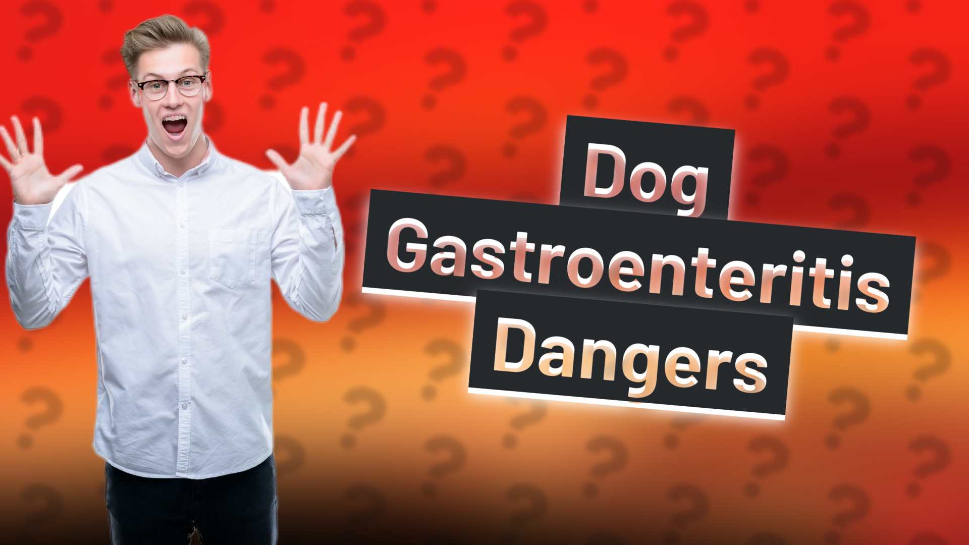 Dog Gastroenteritis Dangers