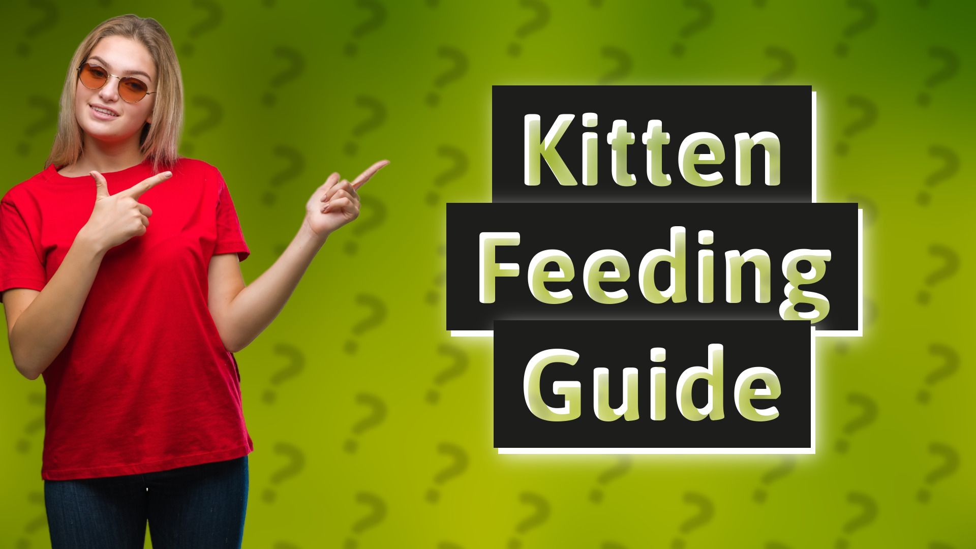 Kitten Feeding Guide