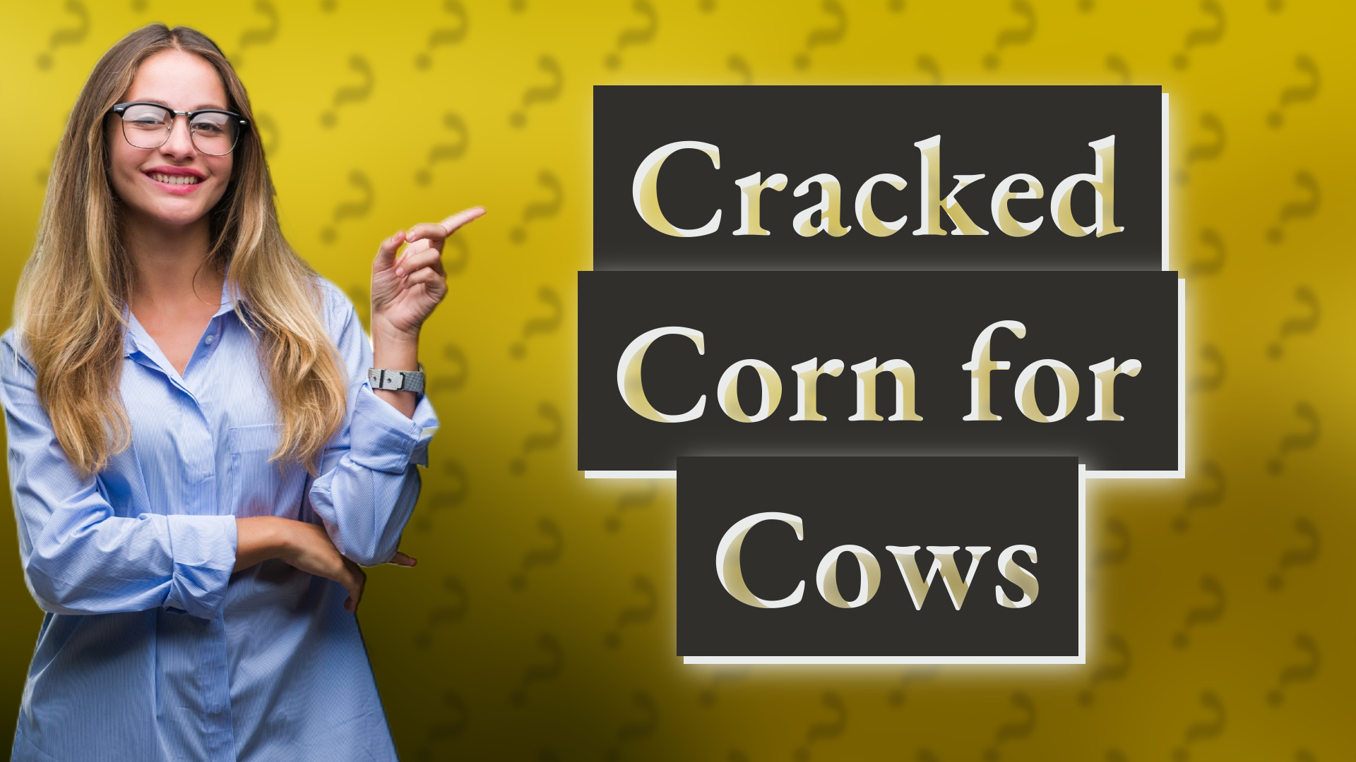 Cracked Corn for Cows
