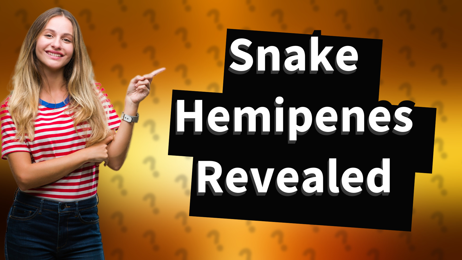 Snake Hemipenes Revealed