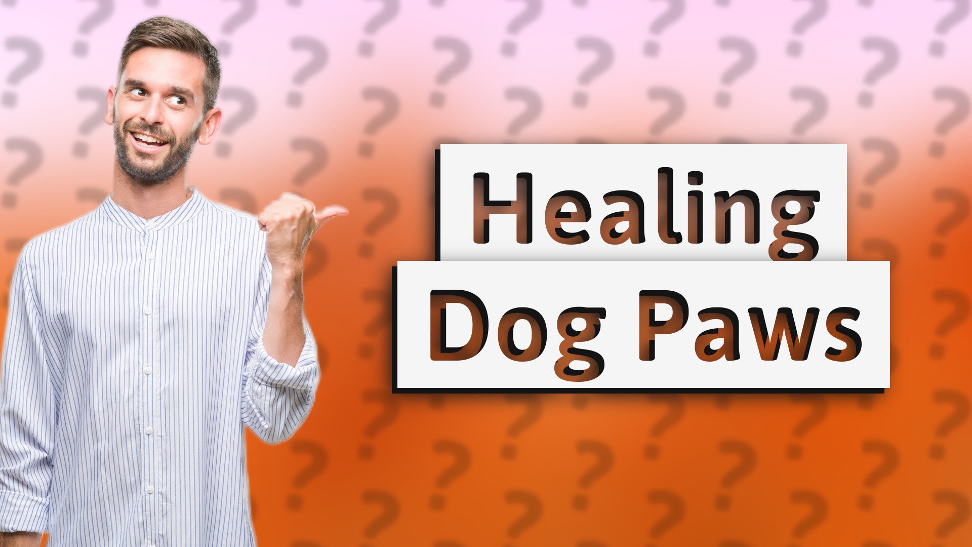 Healing Dog Paws