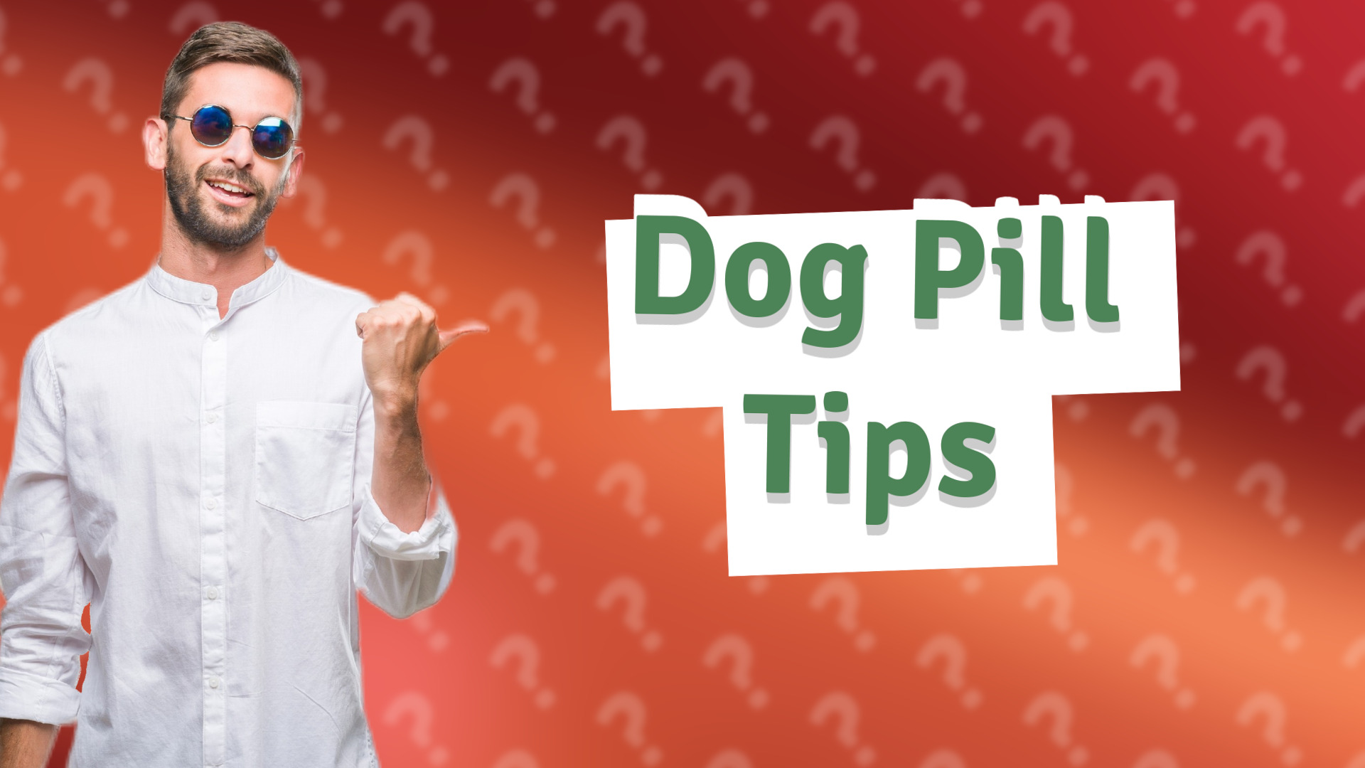 Dog Pill Tips