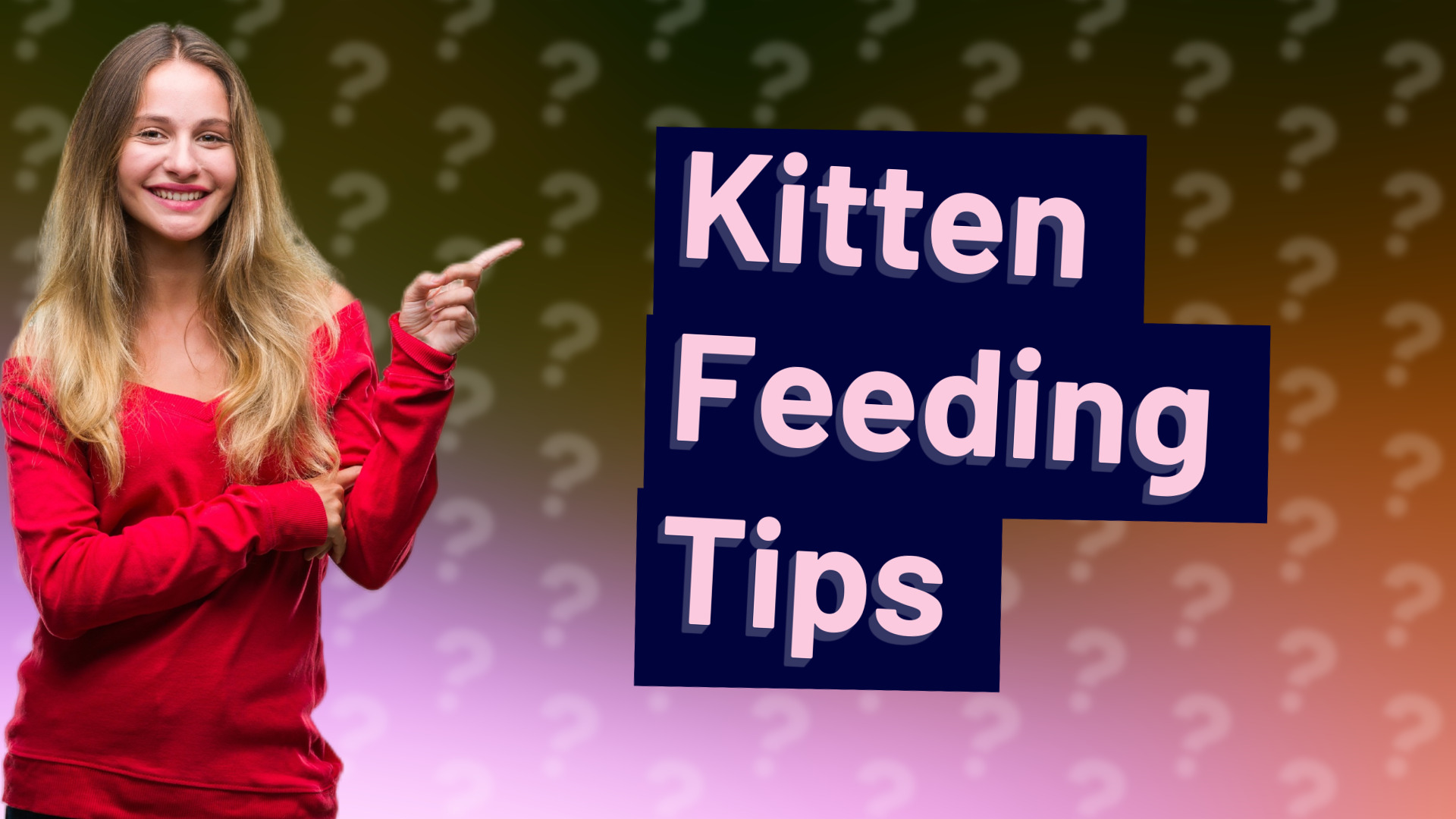 Kitten Feeding Tips