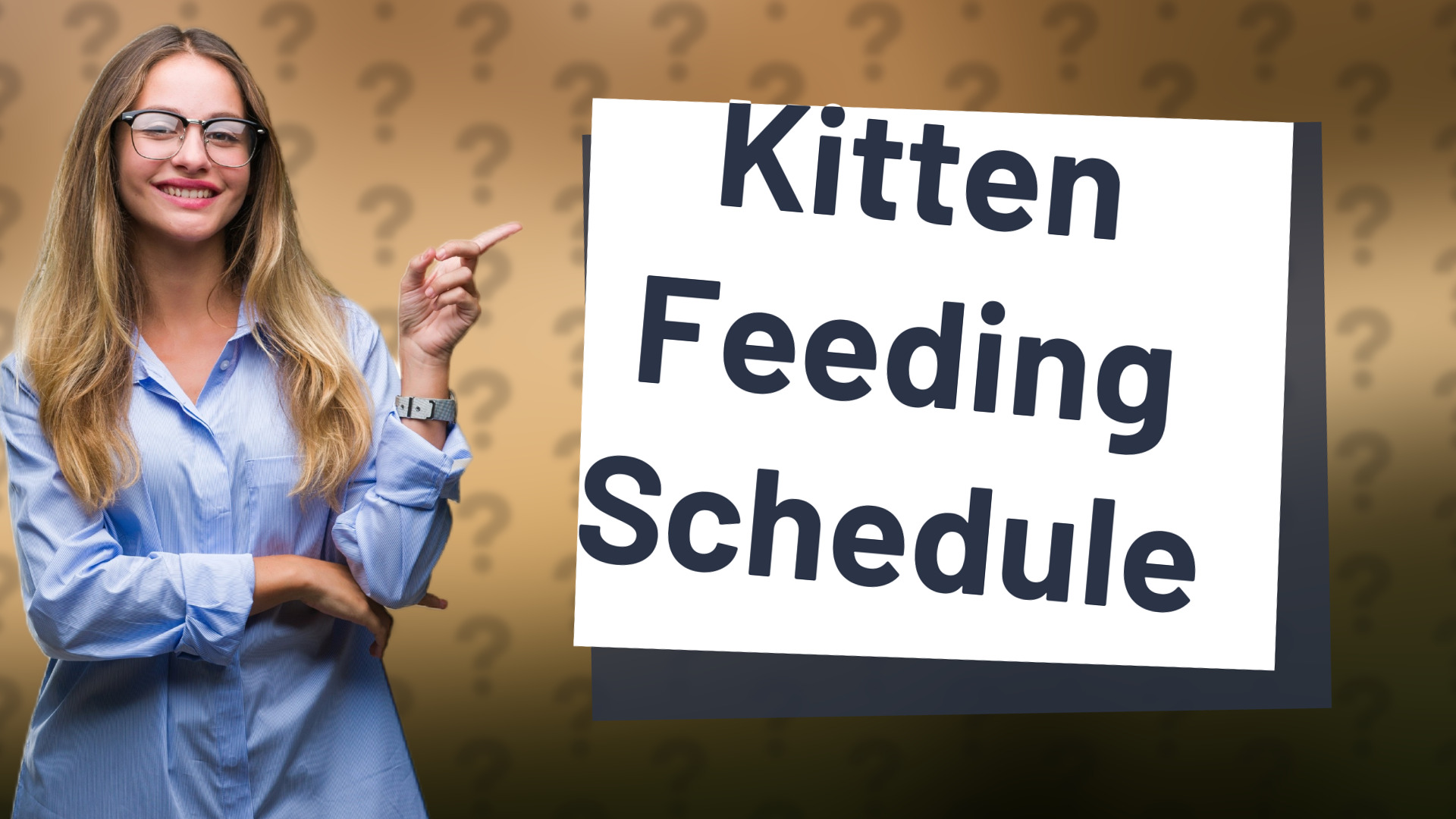 Kitten Feeding Schedule