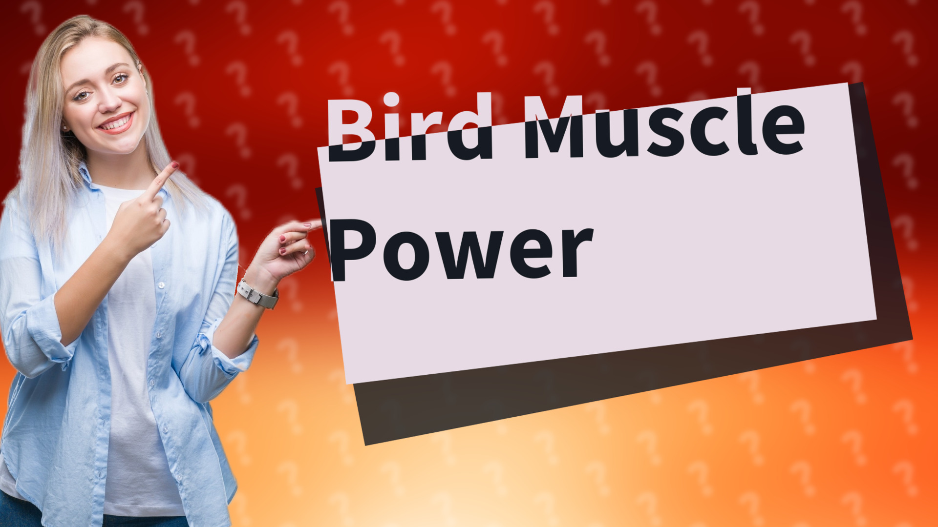 Bird Muscle Power
