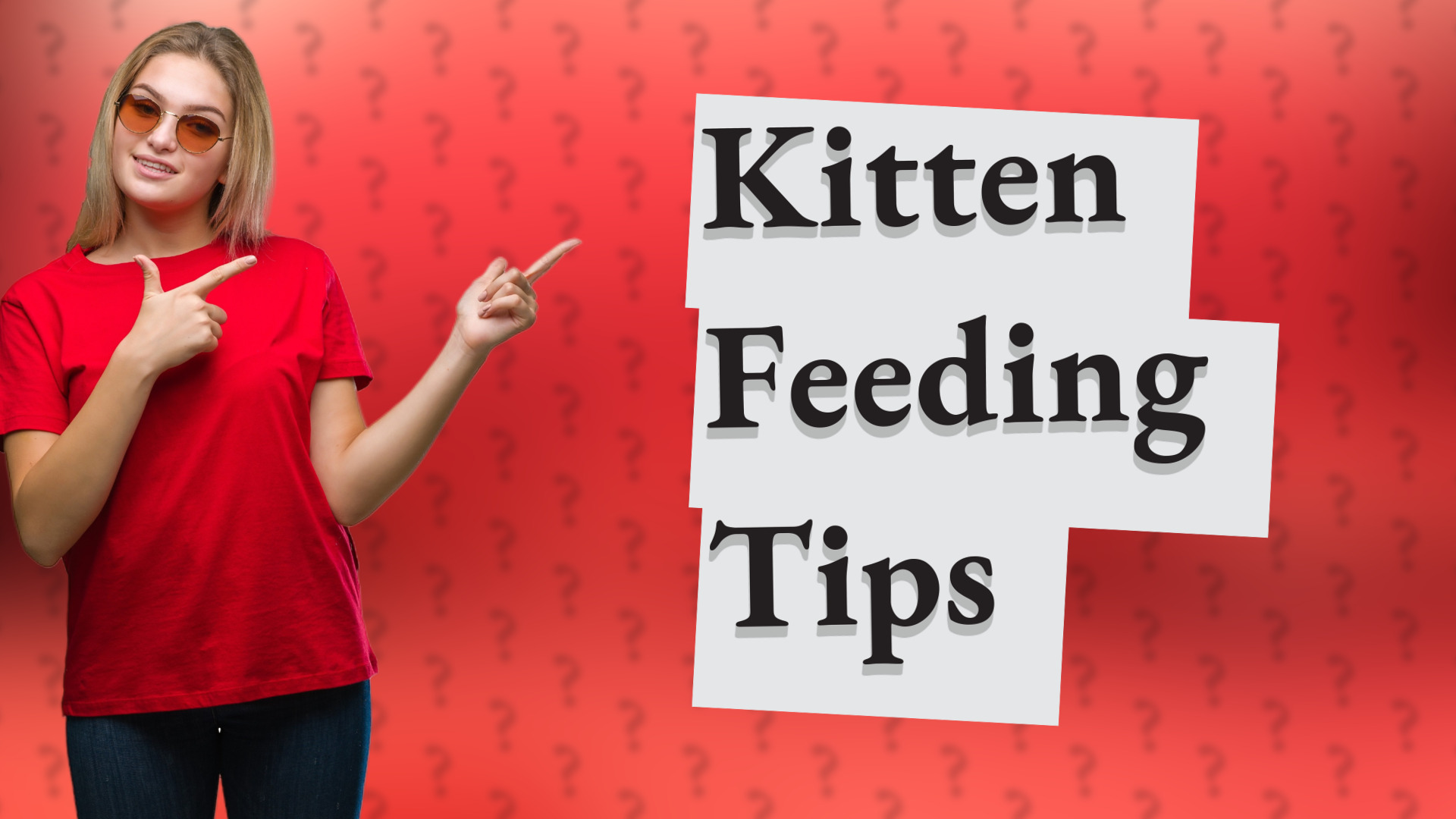 Kitten Feeding Tips