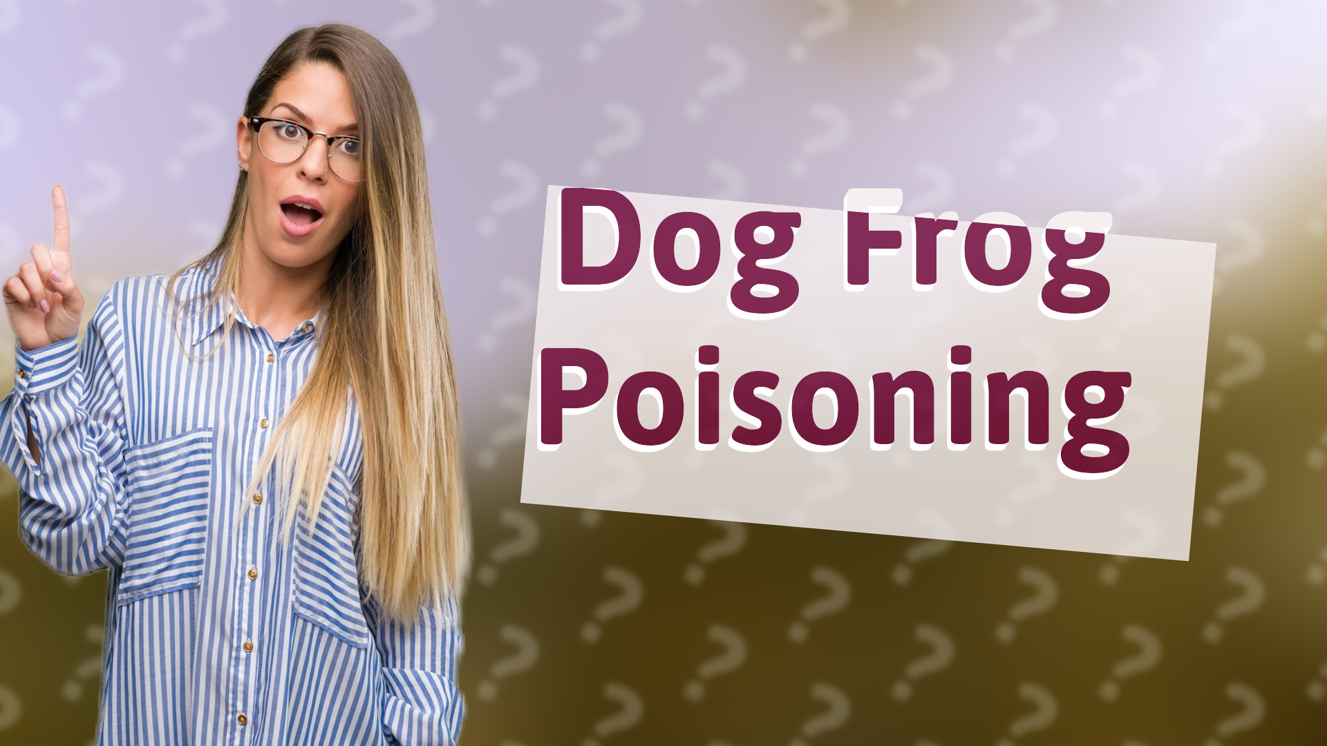 Dog Frog Poisoning