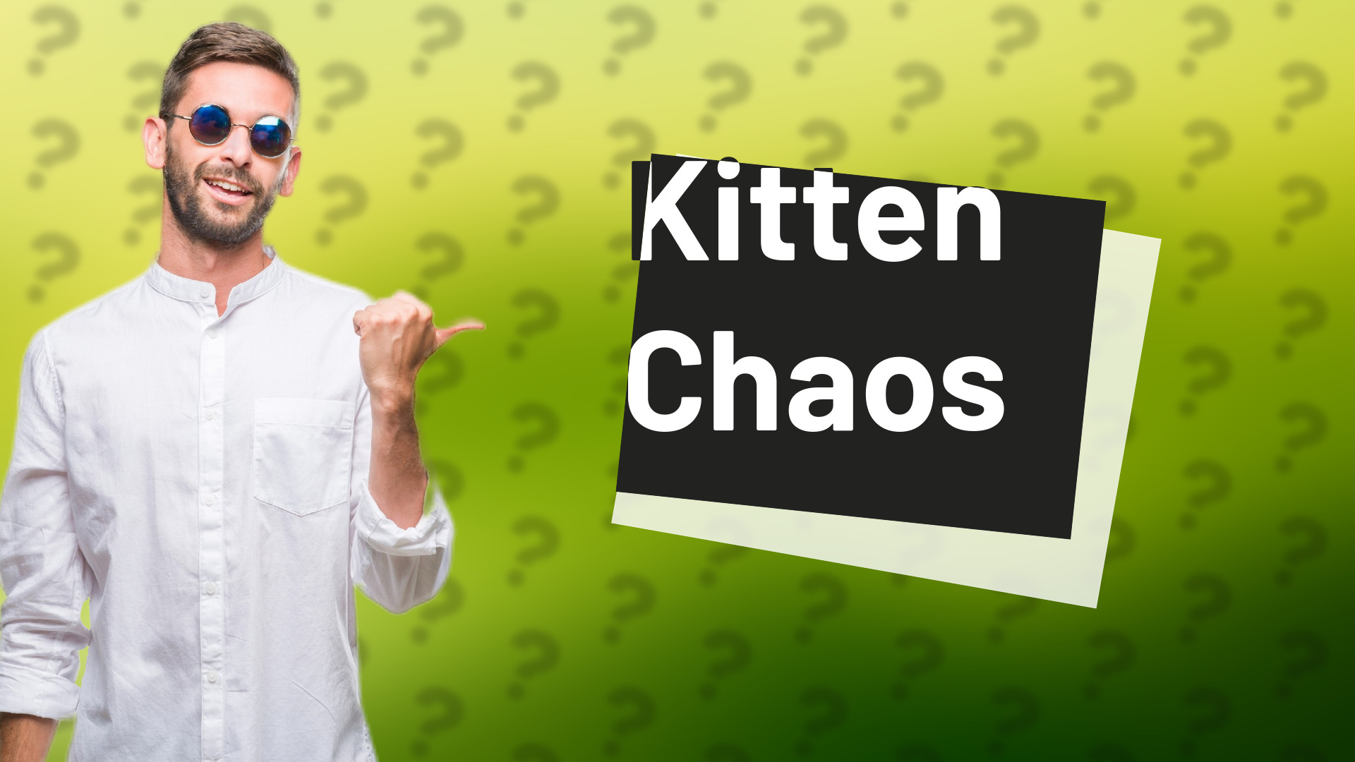 Kitten Chaos