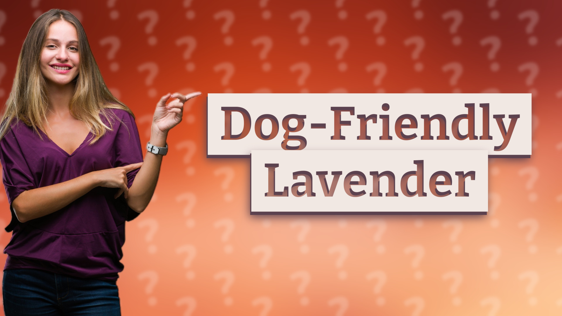 Dog-Friendly Lavender