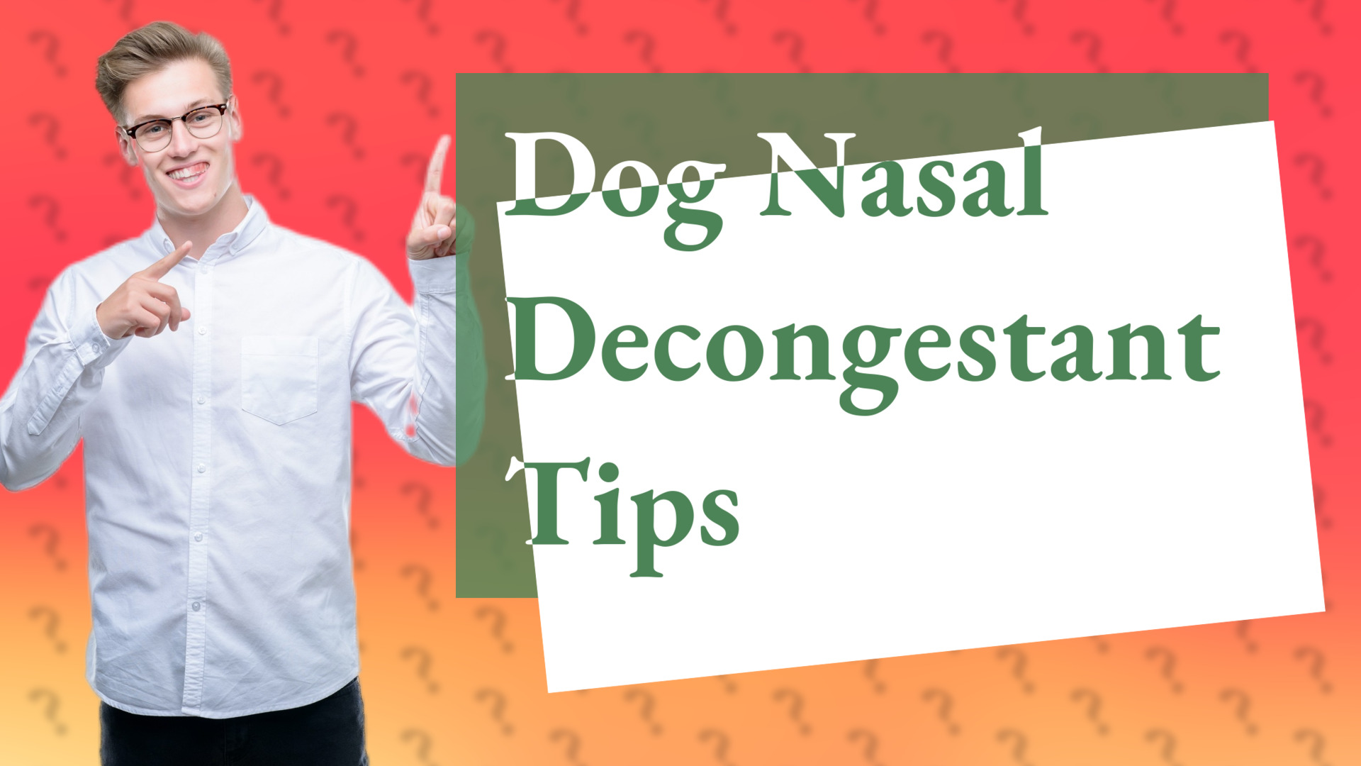 Dog Nasal Decongestant Tips
