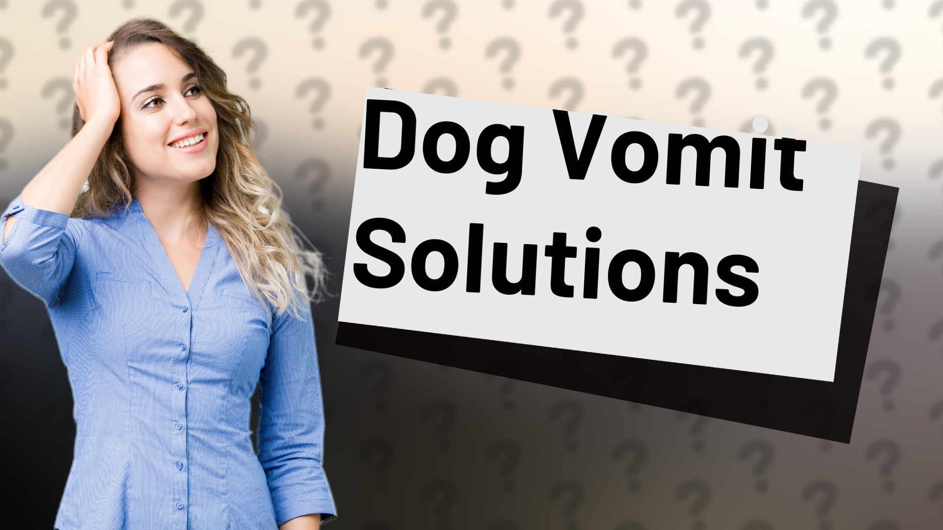 Dog Vomit Solutions