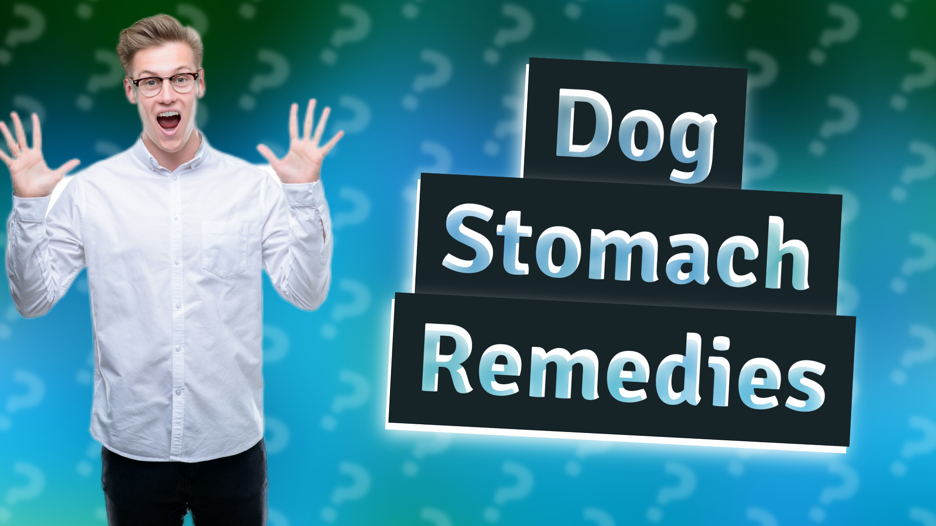 Dog Stomach Remedies
