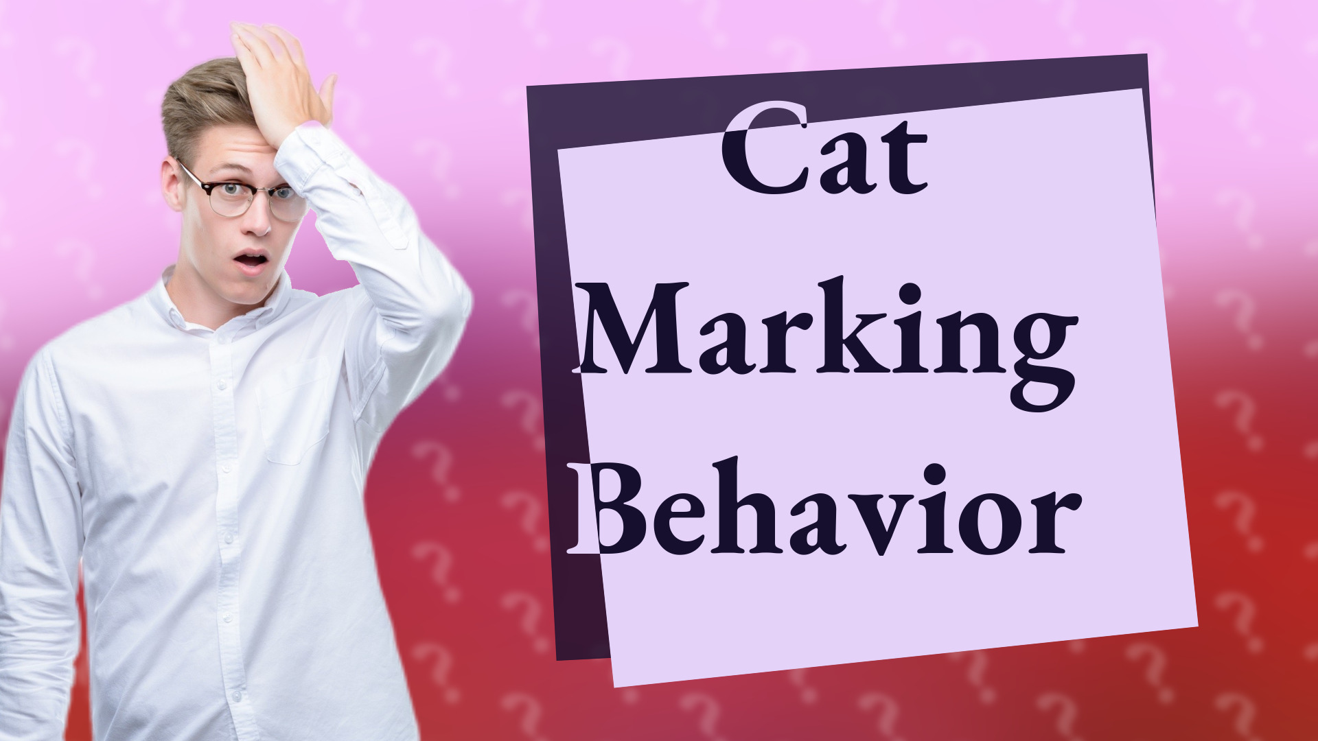 Cat Marking Behavior