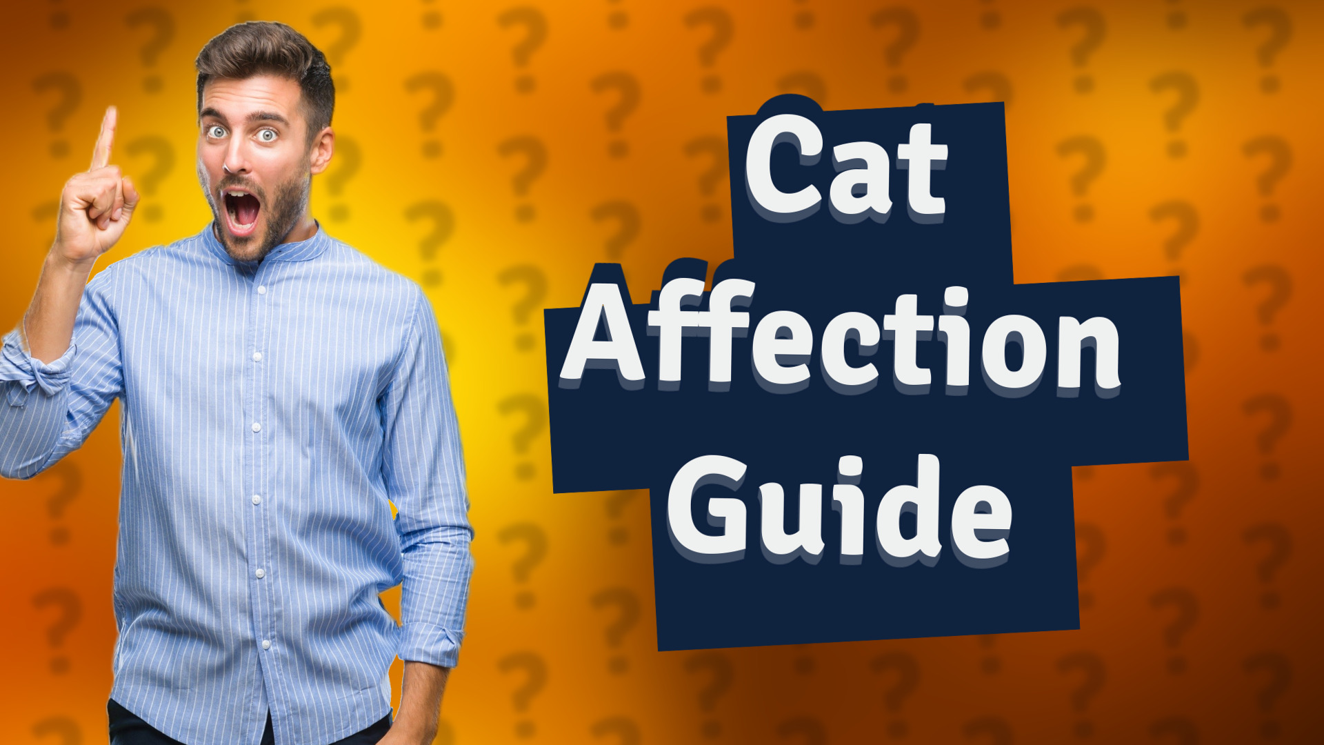 Cat Affection Guide