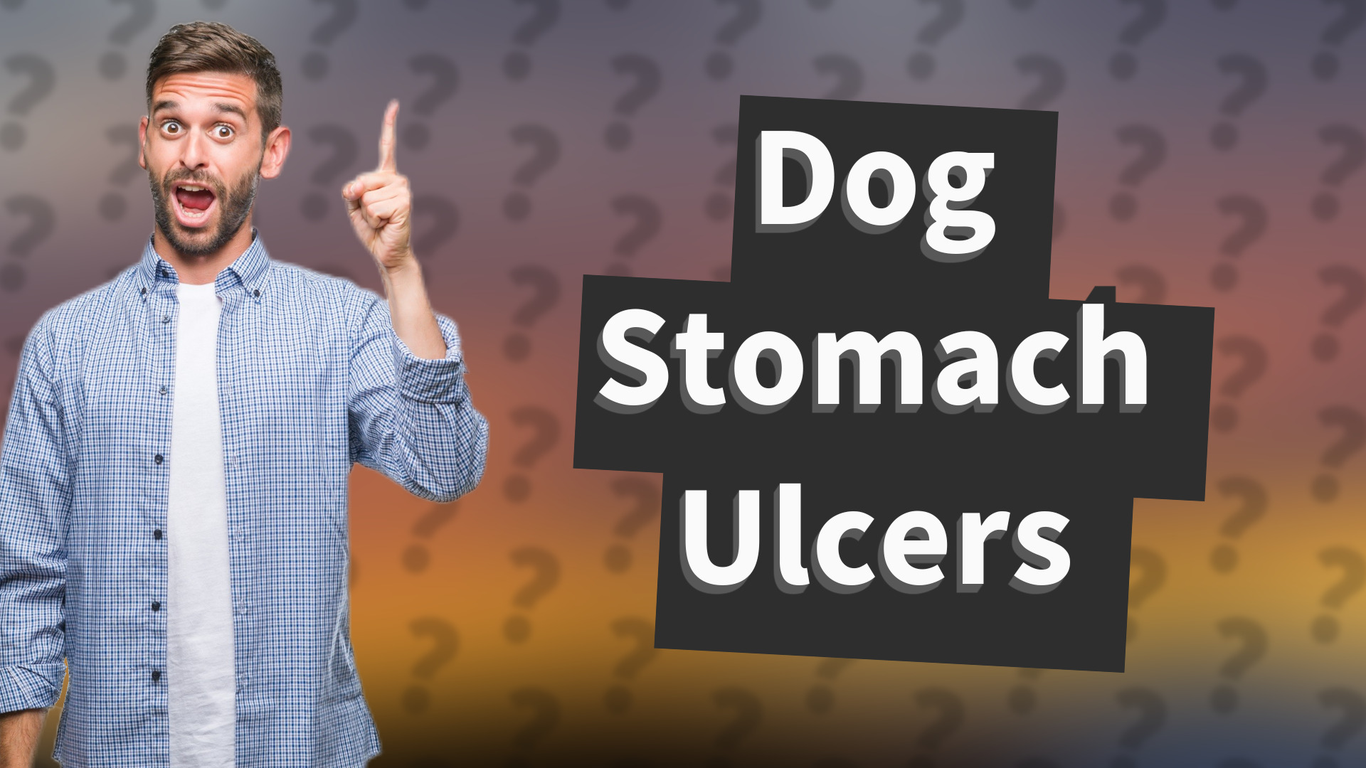 Dog Stomach Ulcers