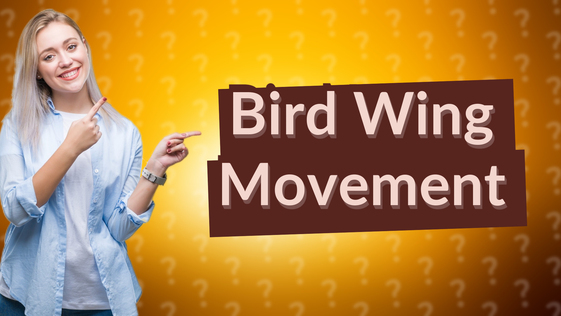 Bird Wing Movement