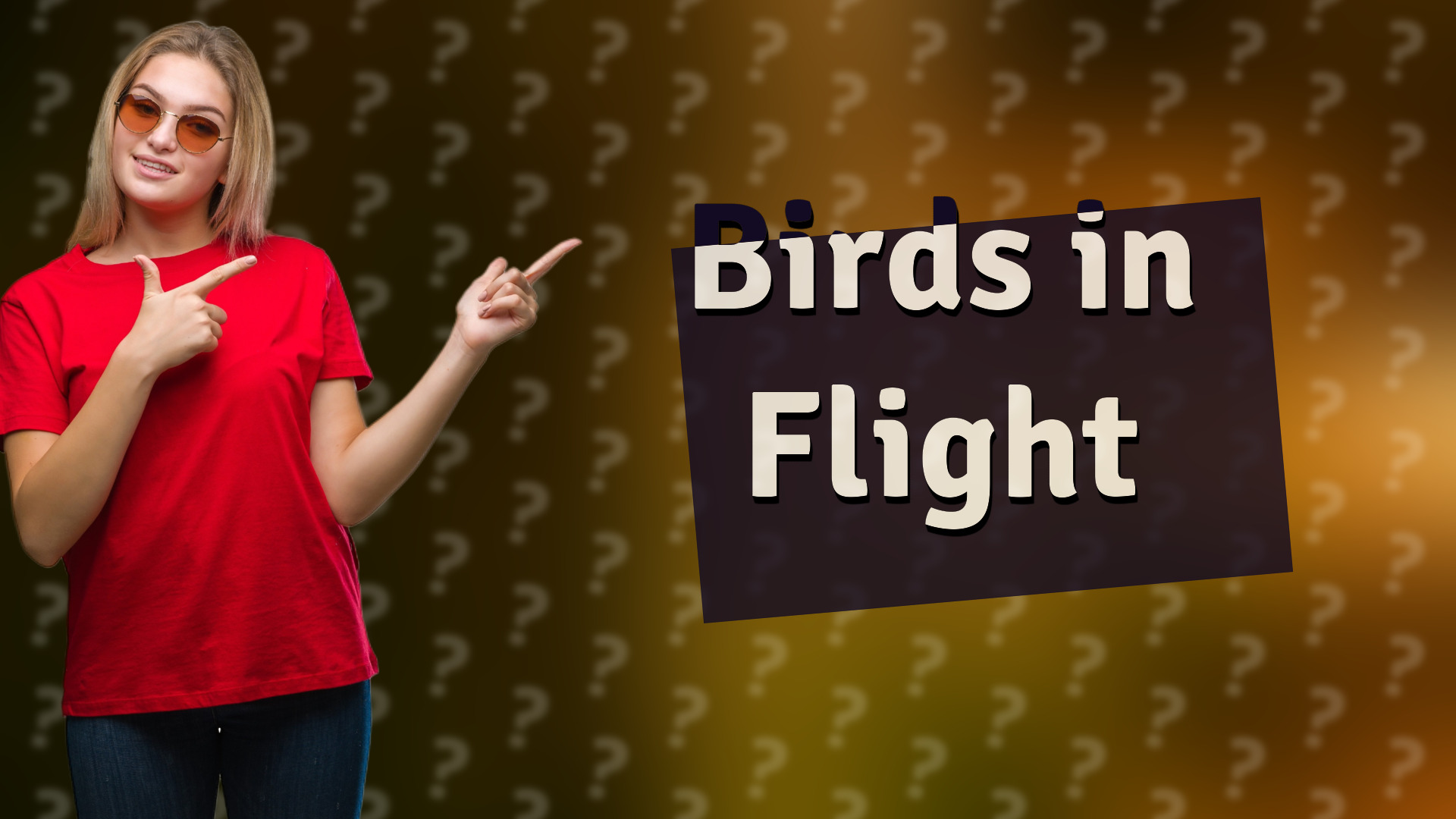 Birds in Flight