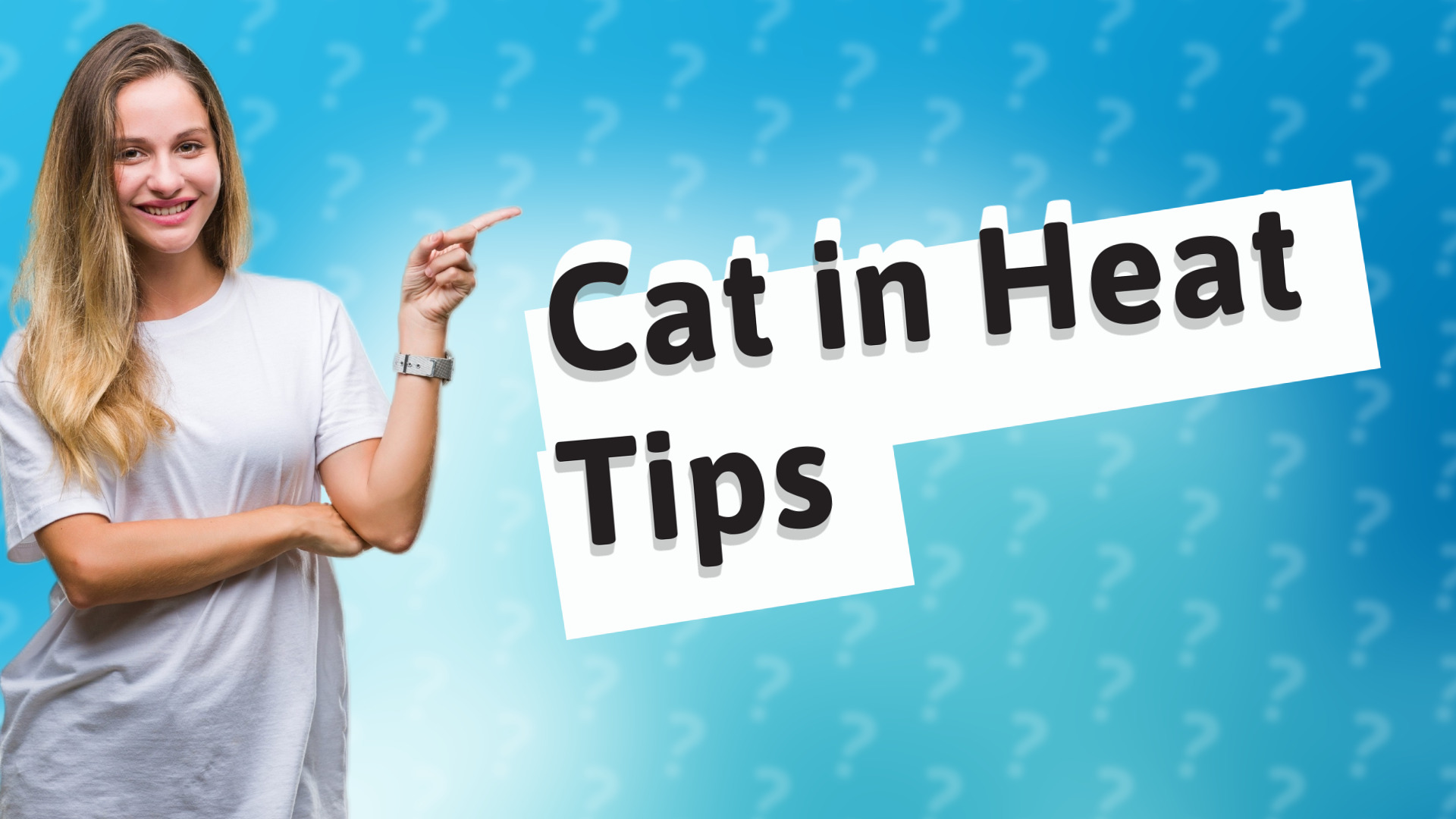 Cat in Heat Tips