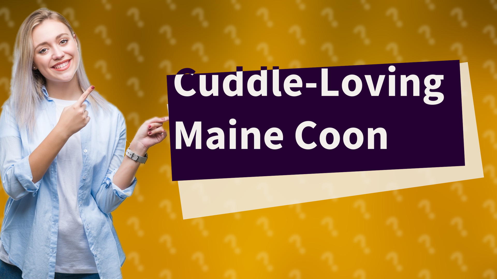 Cuddle-Loving Maine Coon