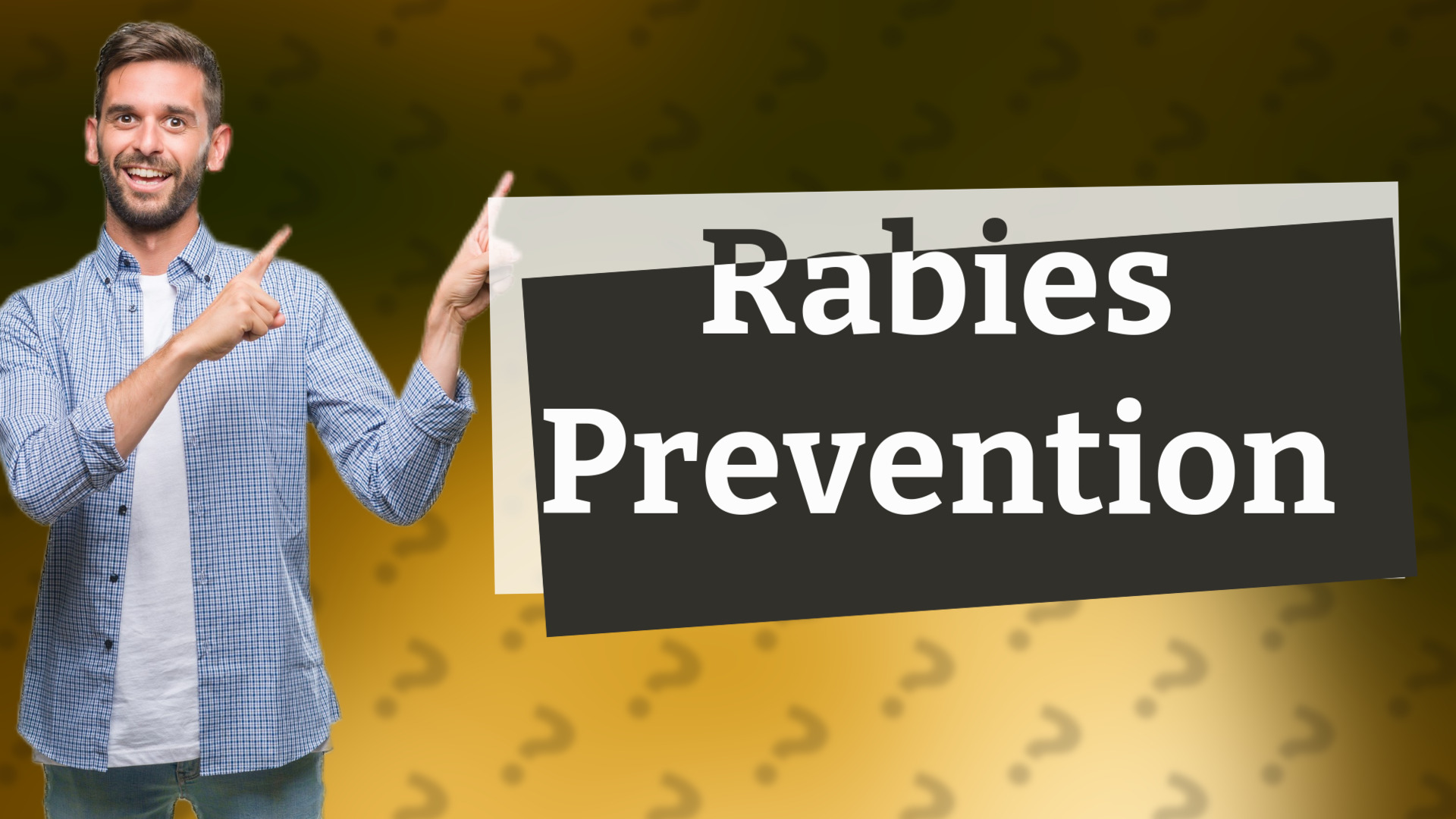 Rabies Prevention