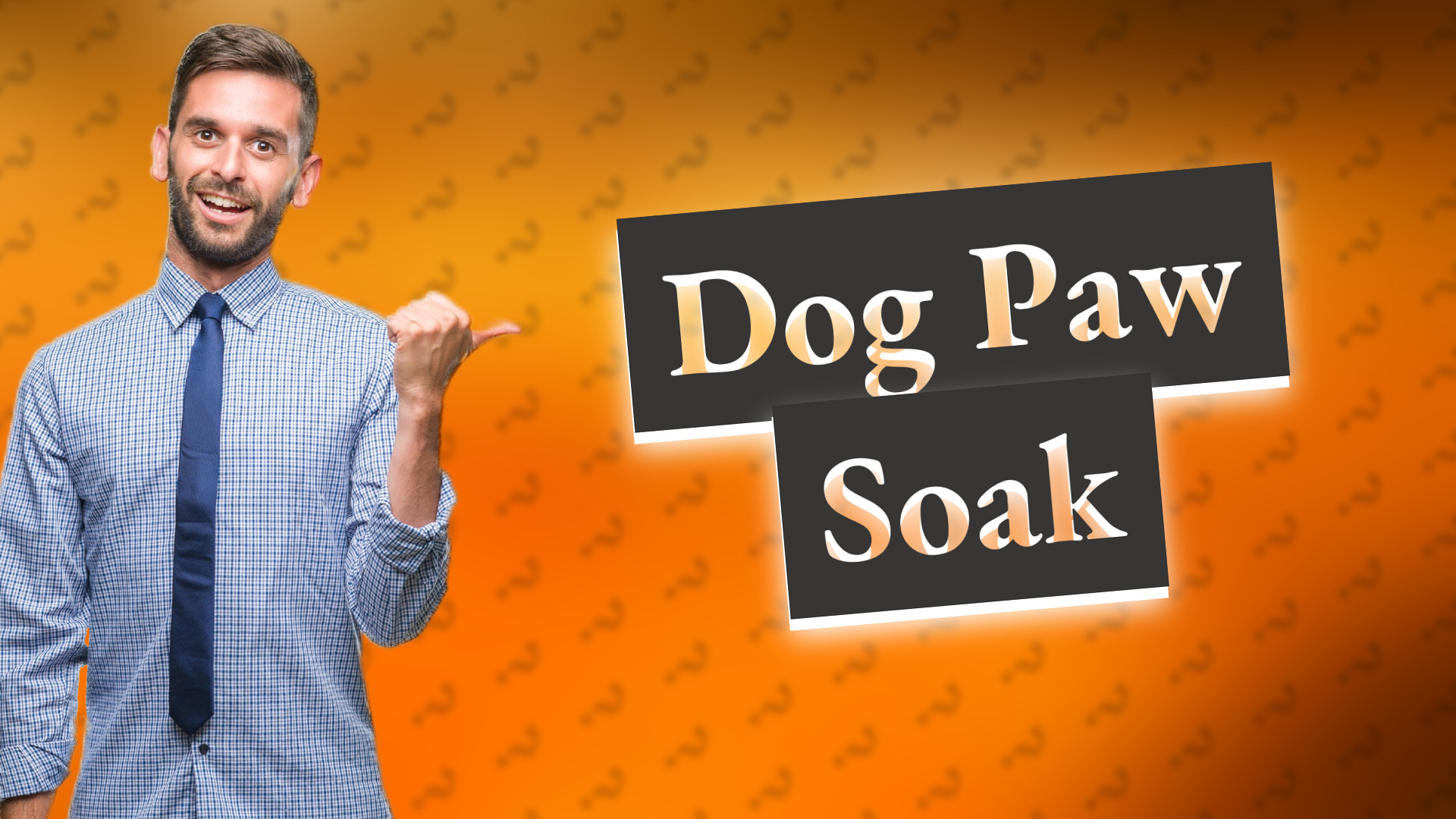 Dog Paw Soak
