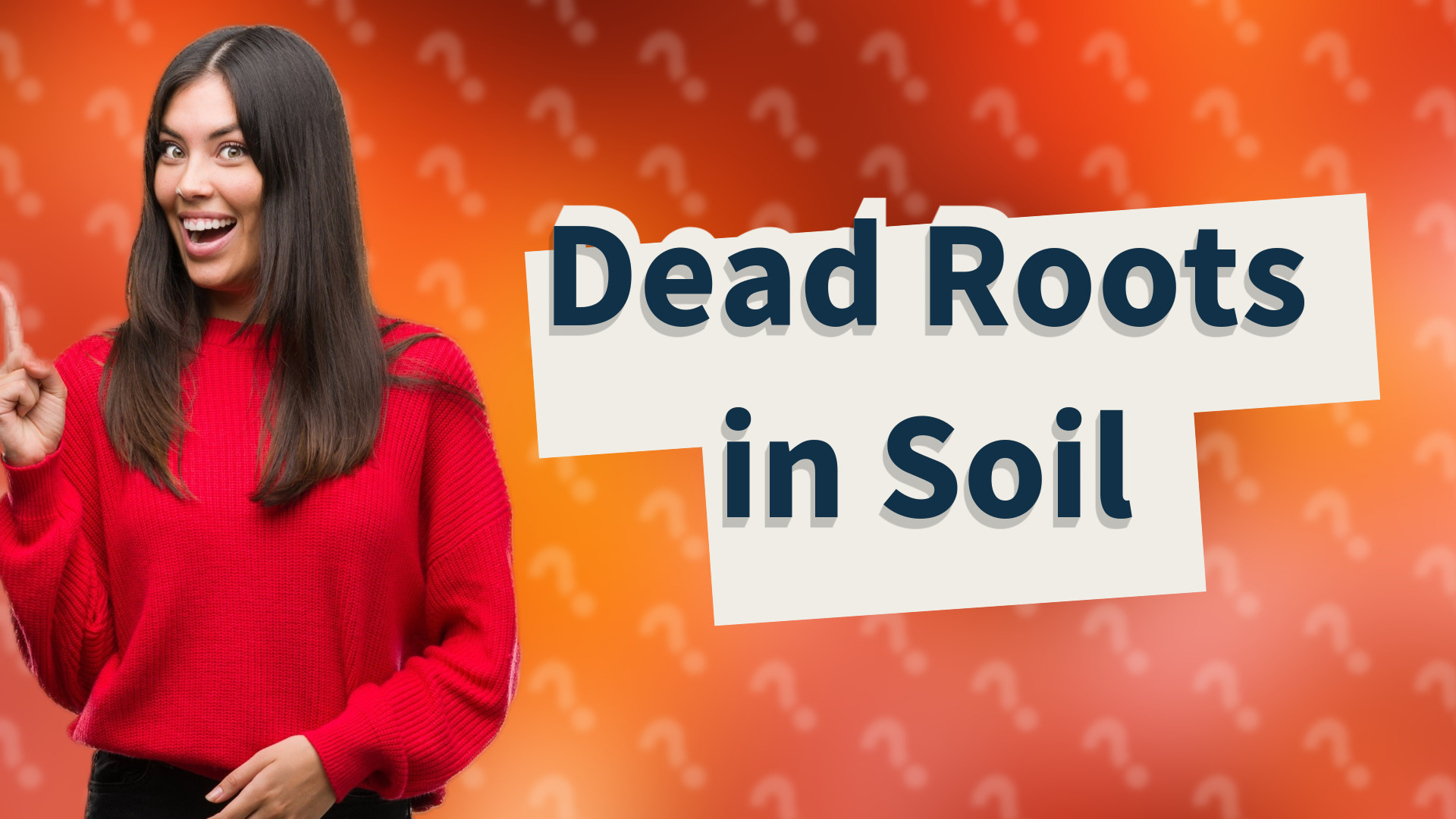 Dead Roots in Soil