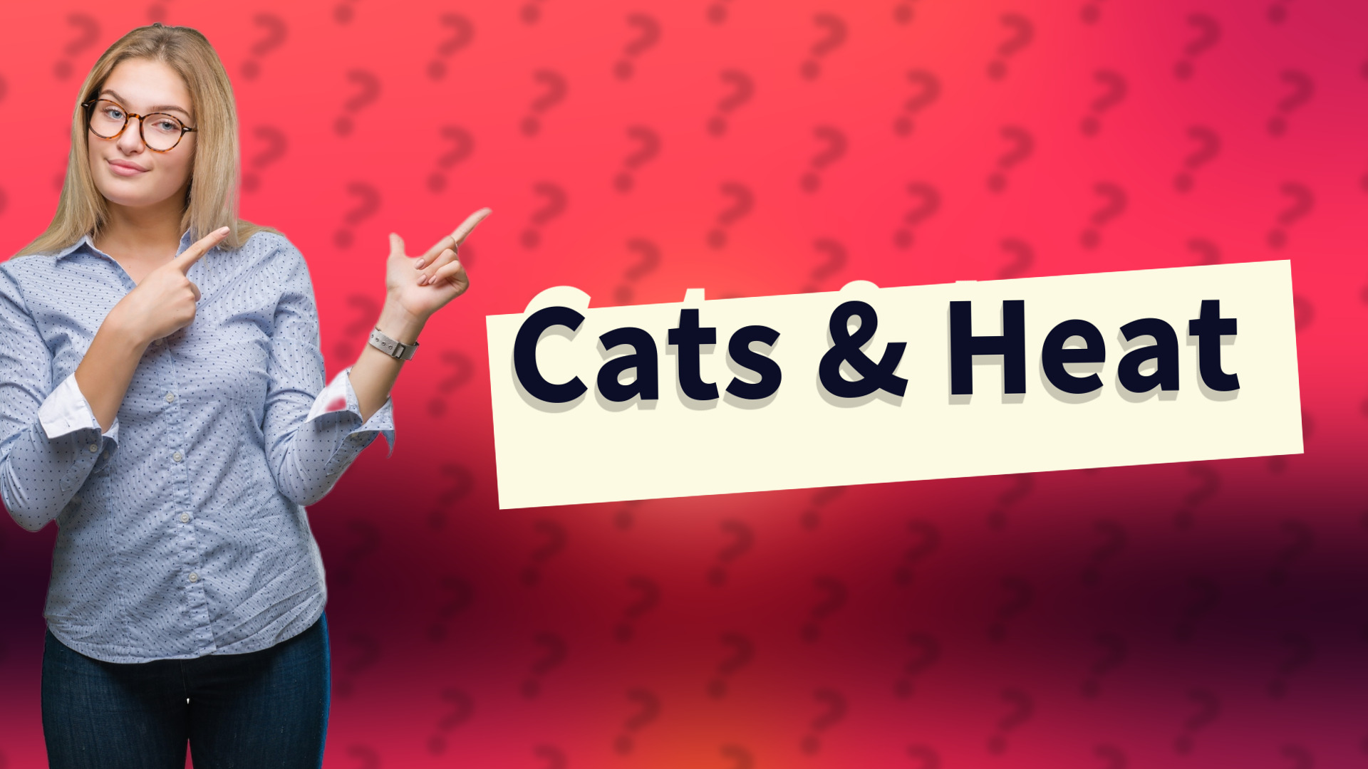 Cats & Heat