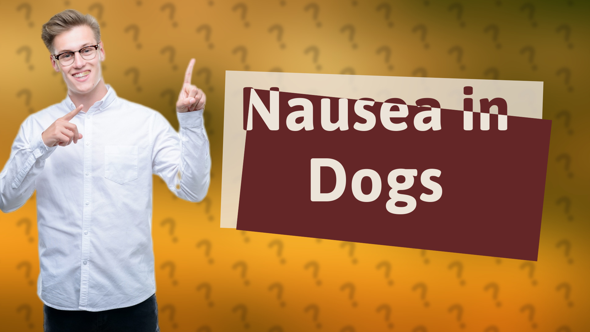 Nausea in Dogs