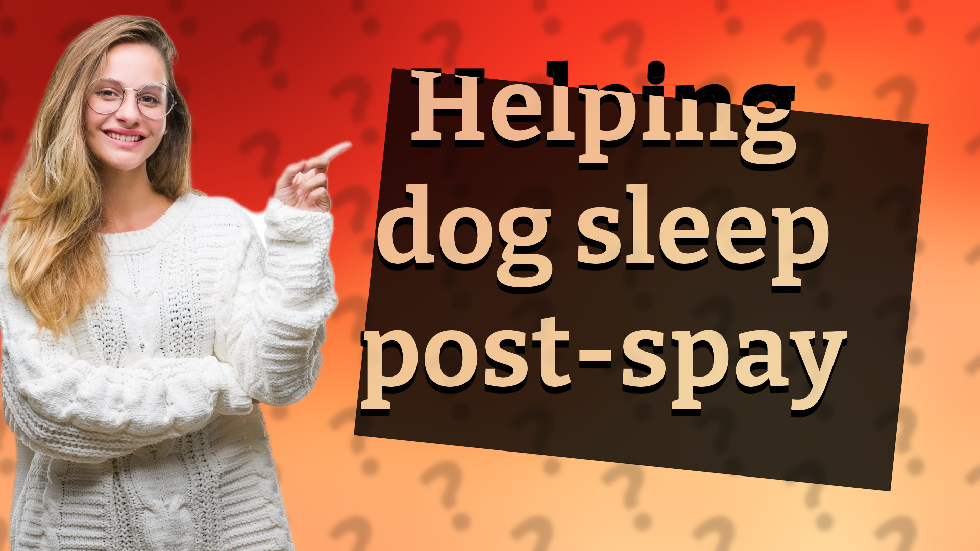 Helping dog sleep post-spay