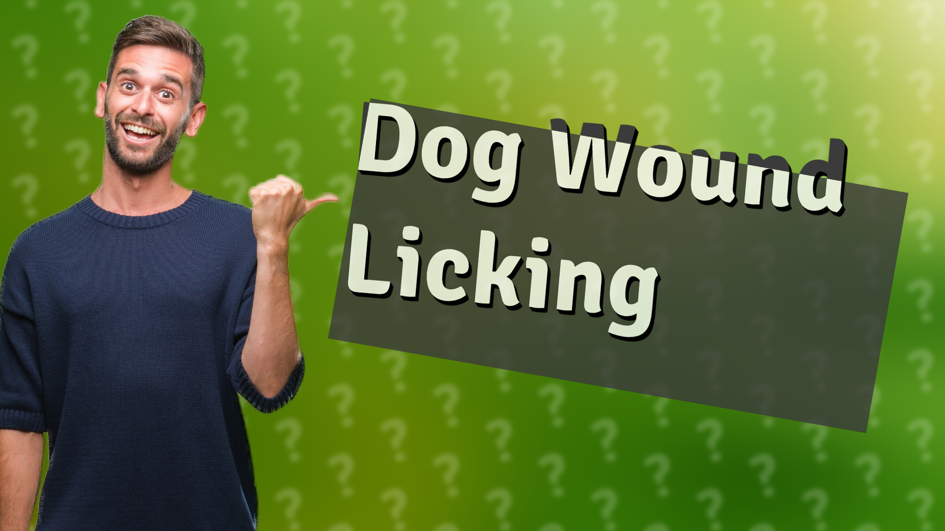 Dog Wound Licking