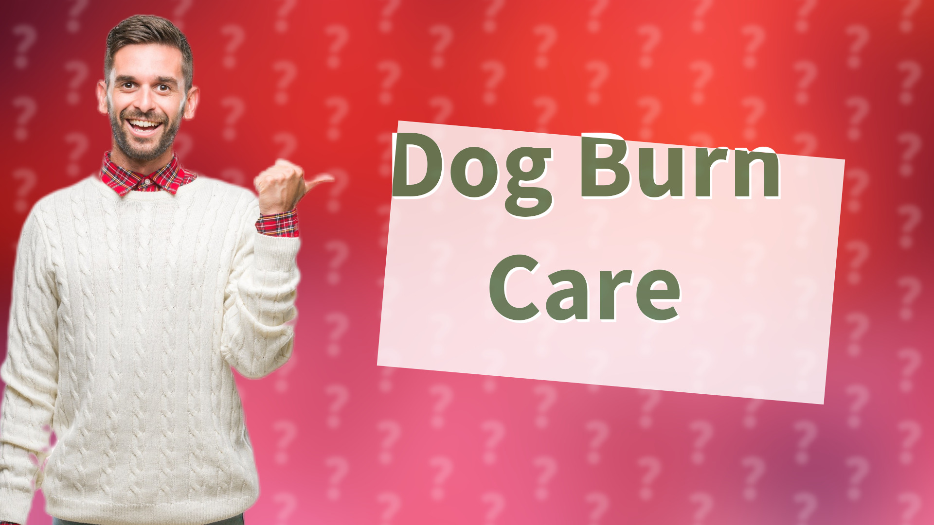 Dog Burn Care
