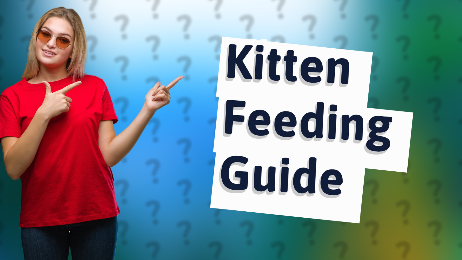 Kitten Feeding Guide