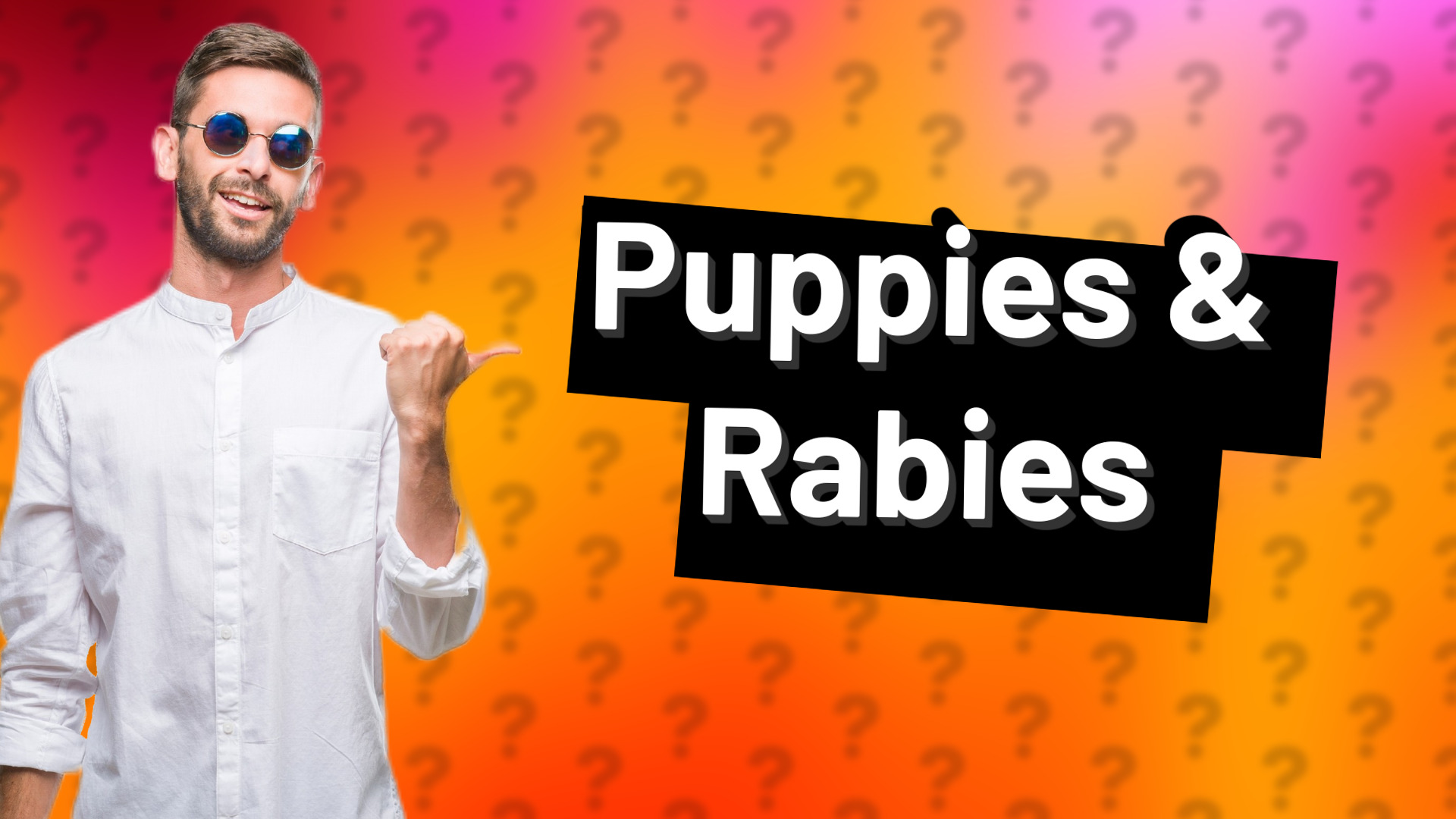 Puppies & Rabies