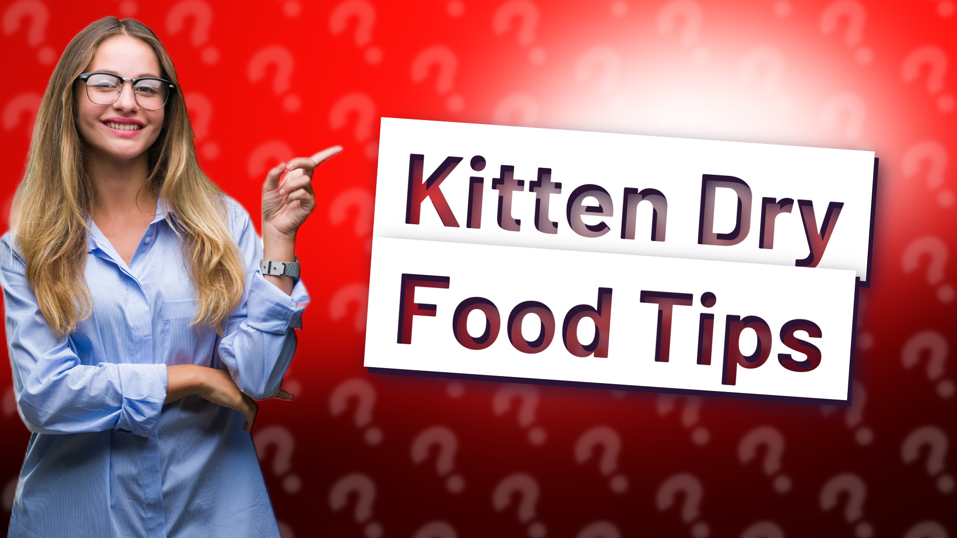 Kitten Dry Food Tips