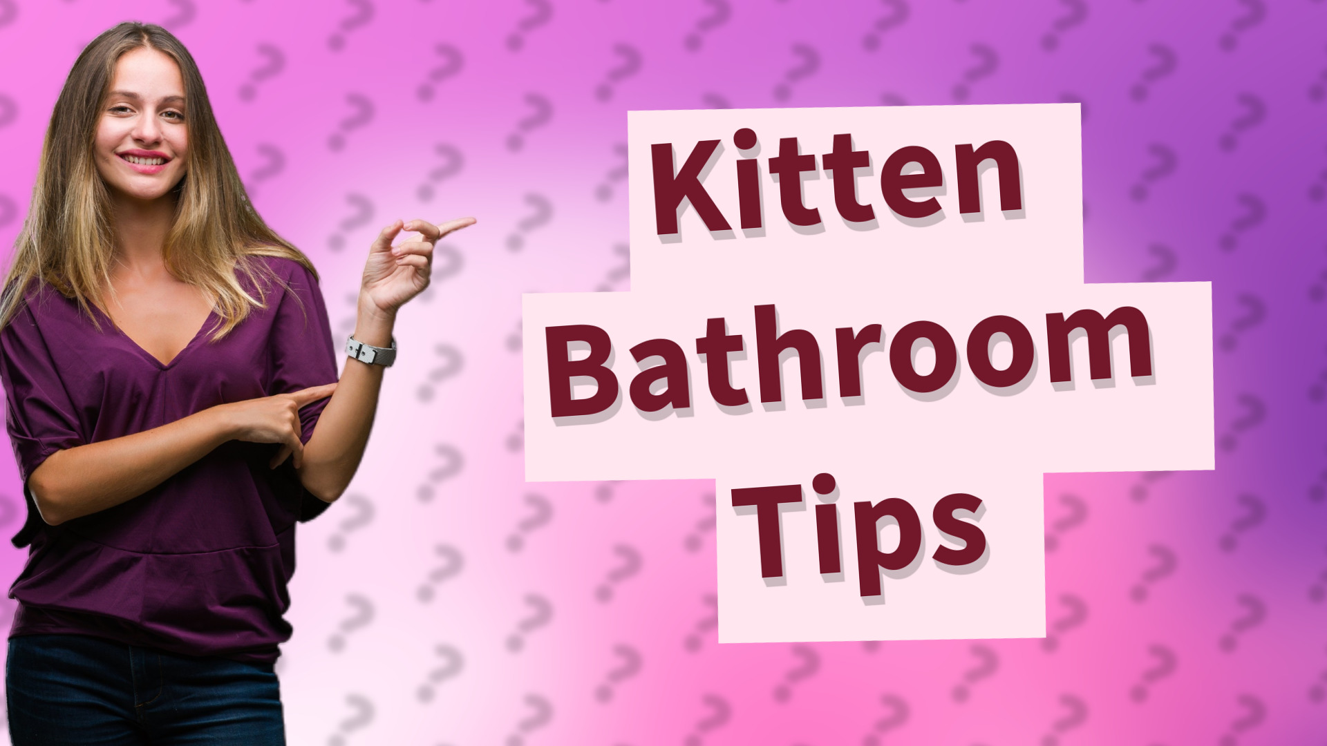 Kitten Bathroom Tips