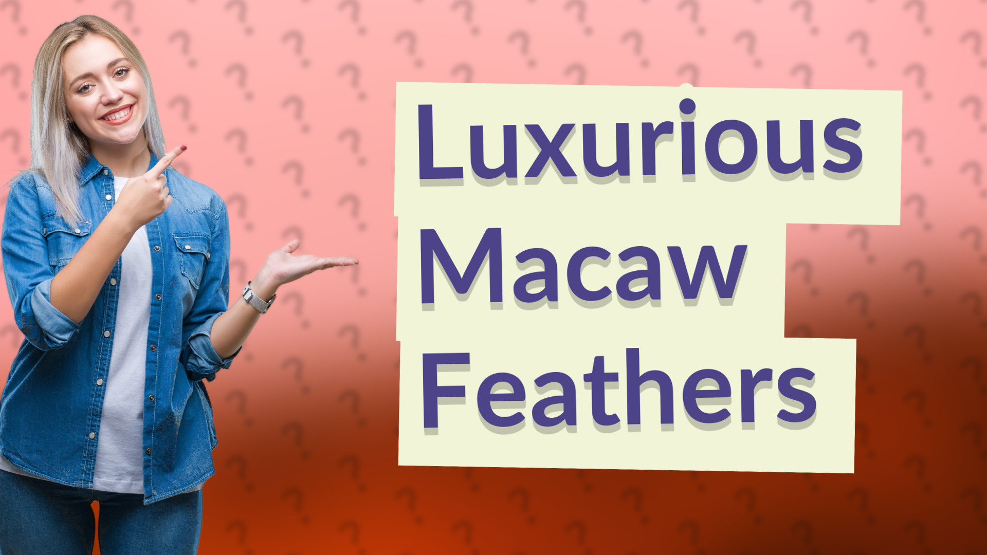 Luxurious Macaw Feathers
