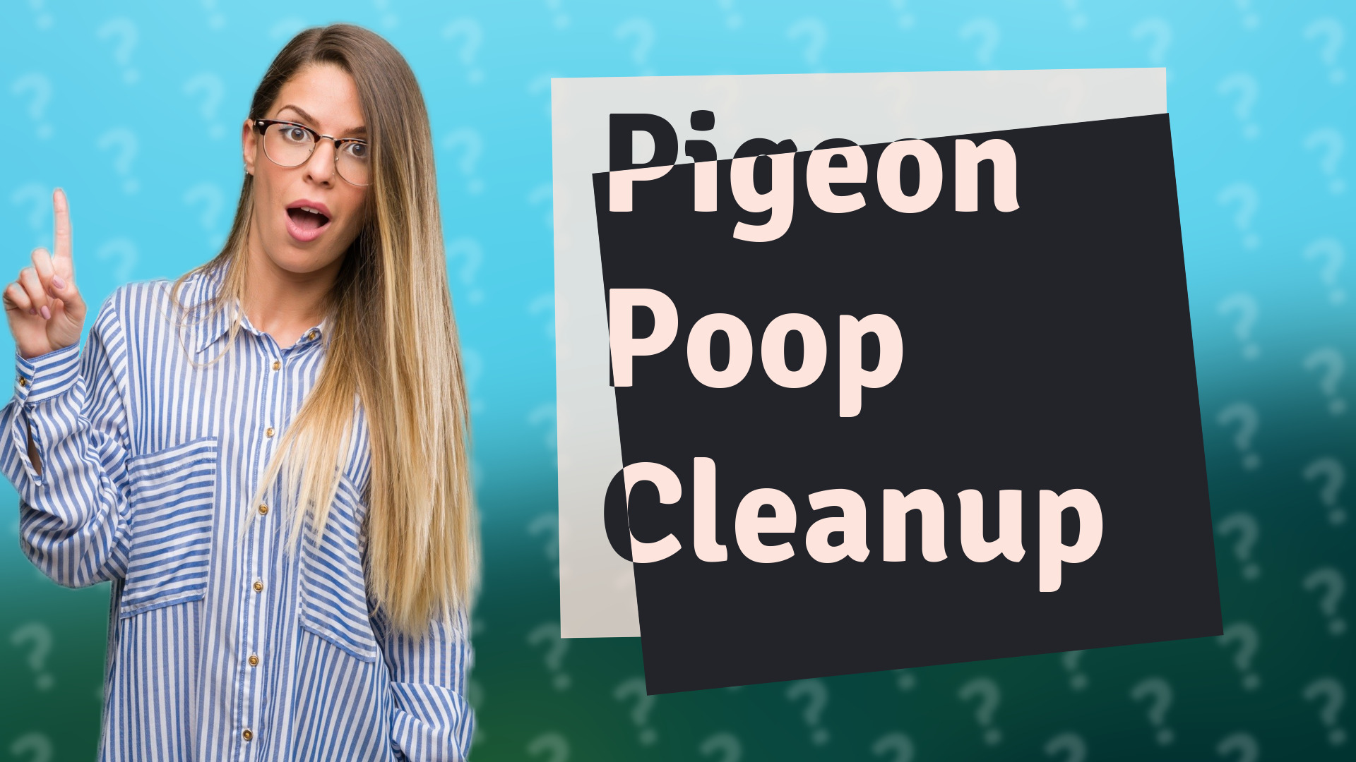 Pigeon Poop Cleanup