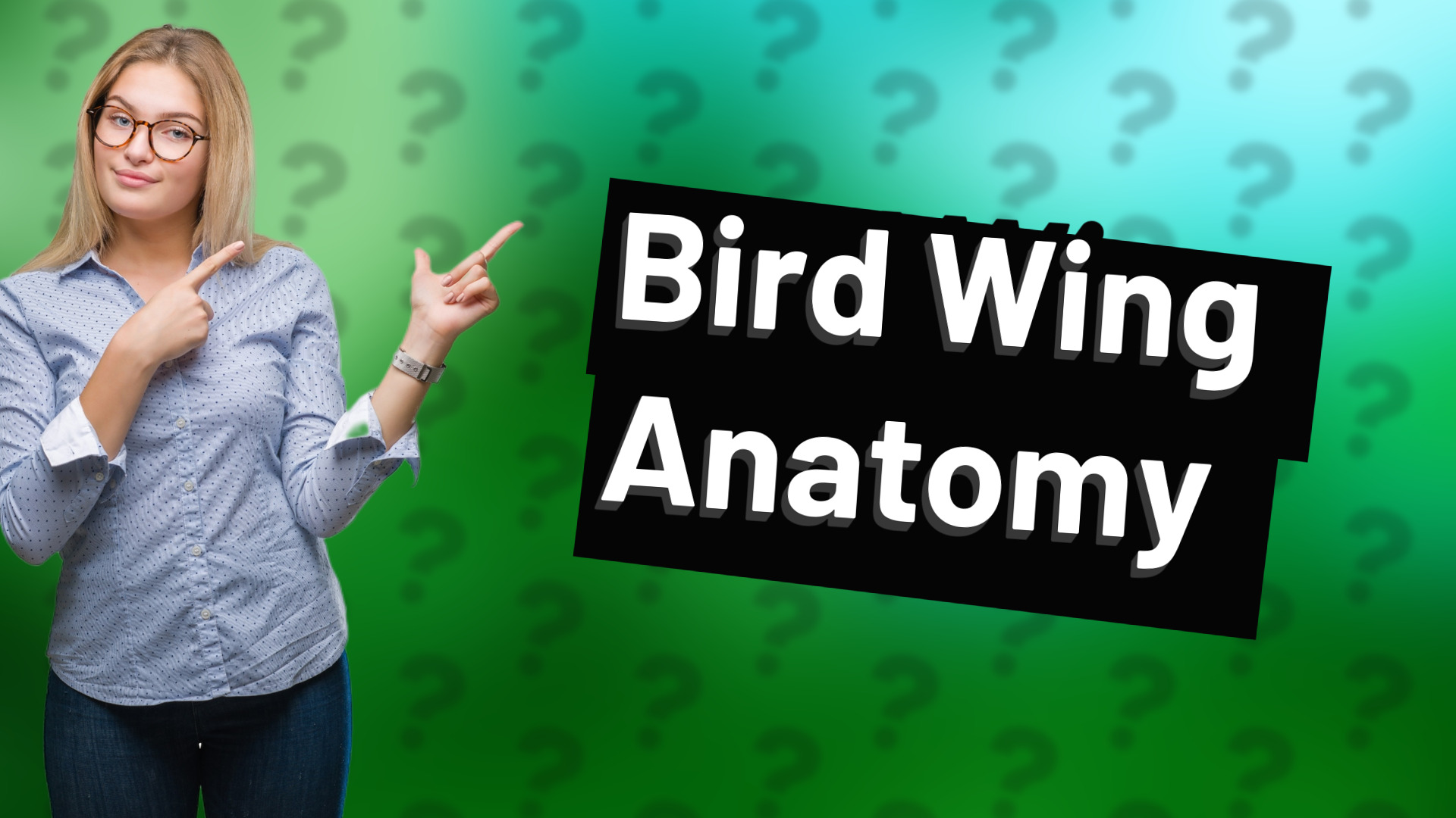 Bird Wing Anatomy