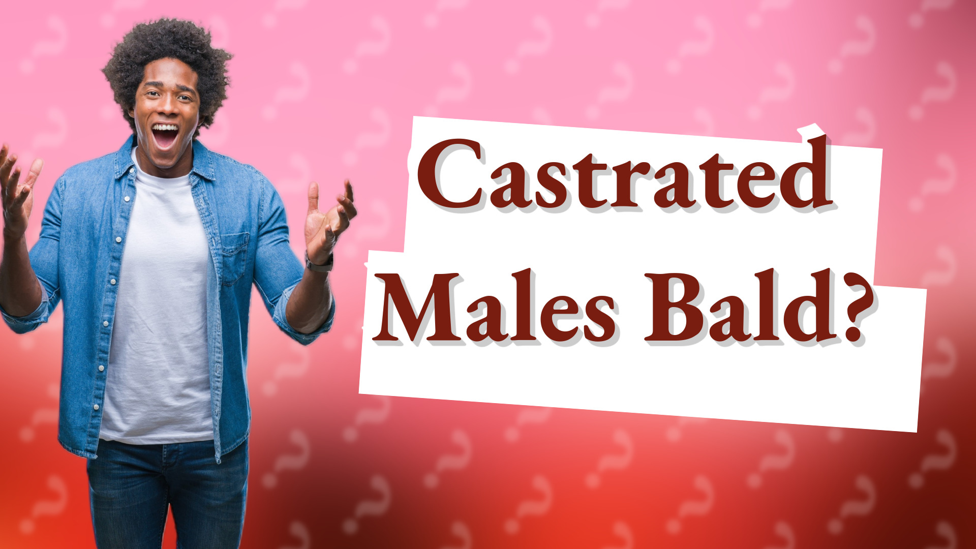 Castrated Males Bald?